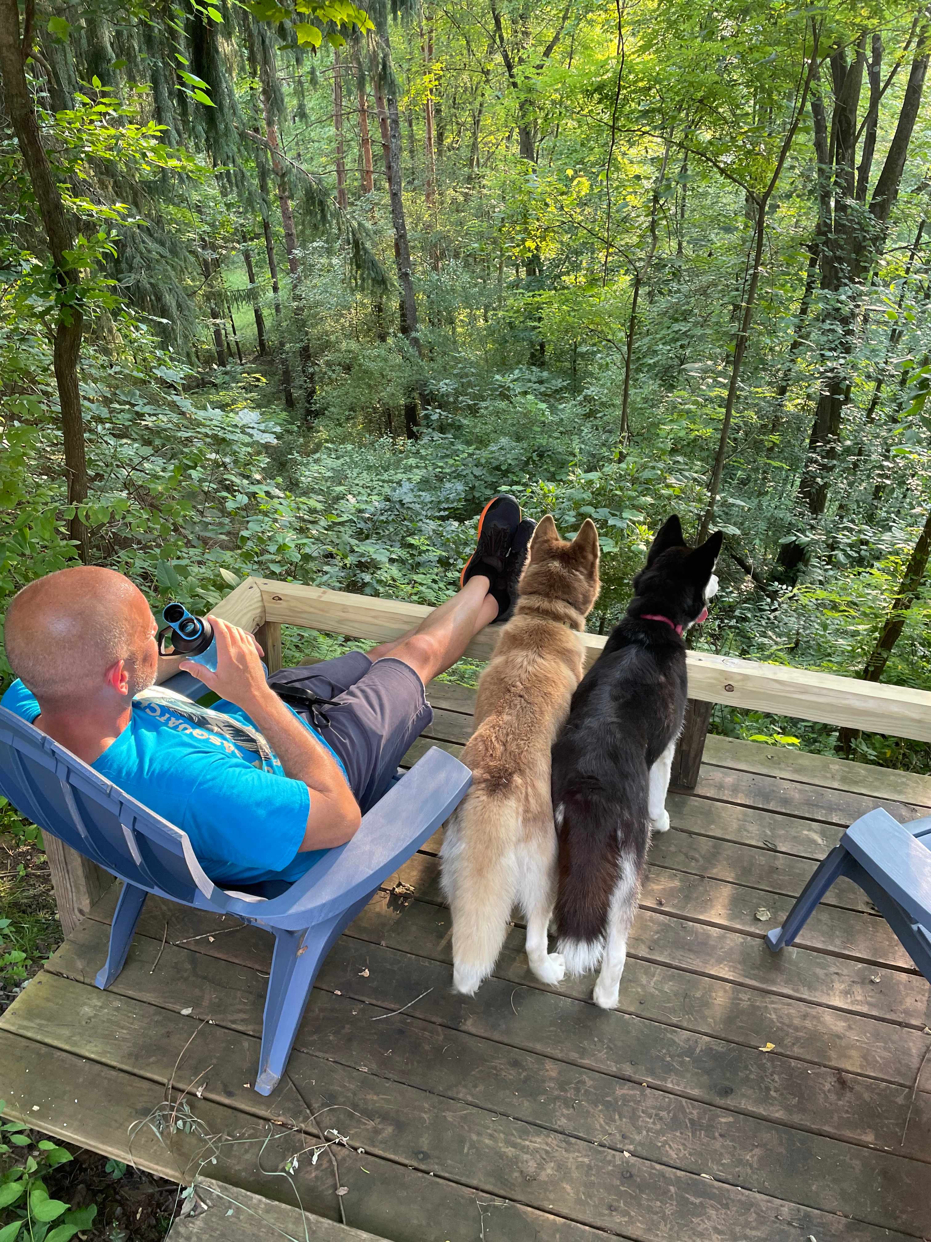 What a great place to take in a view of the woods. 