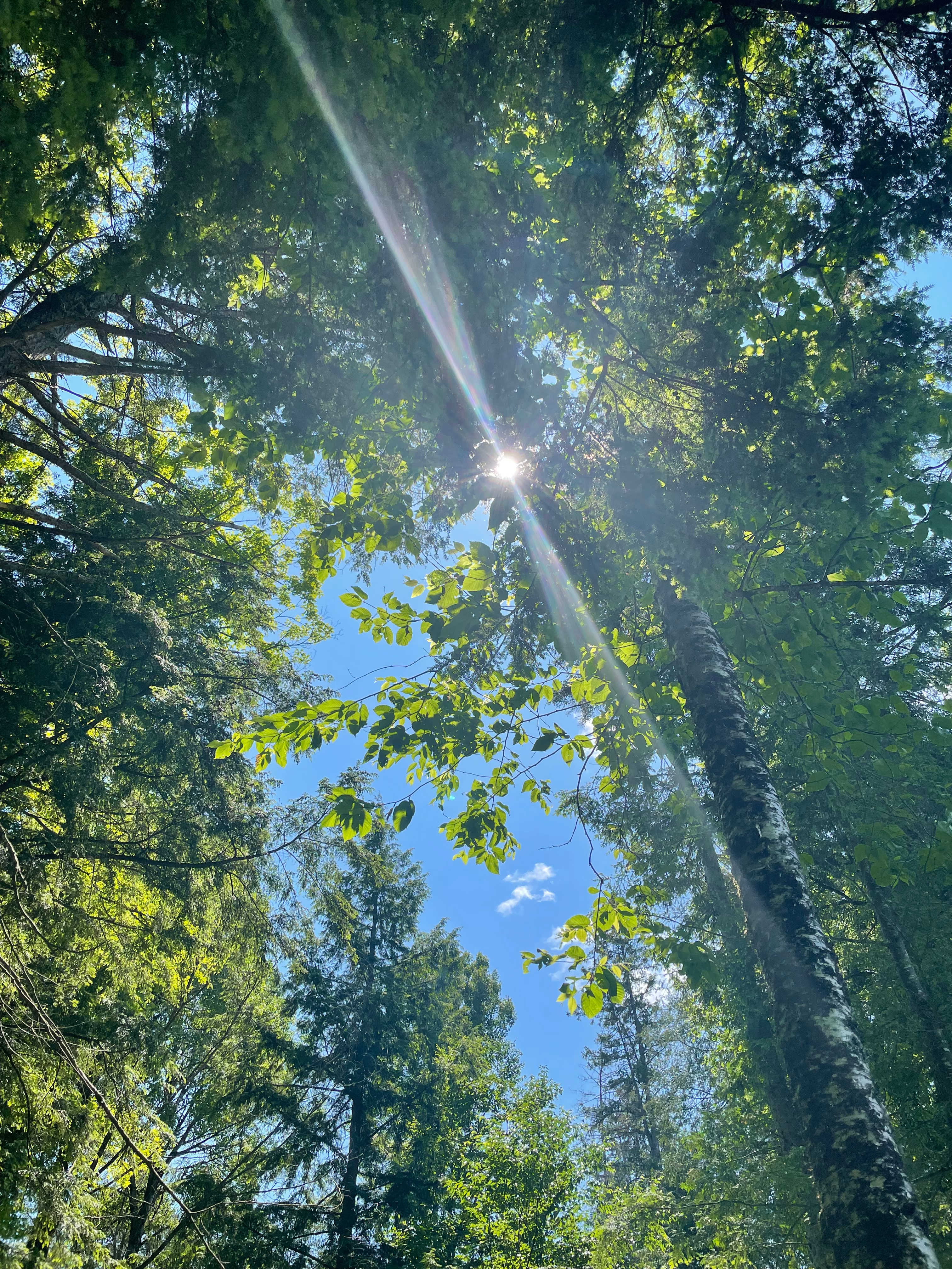Good walking trails nearby