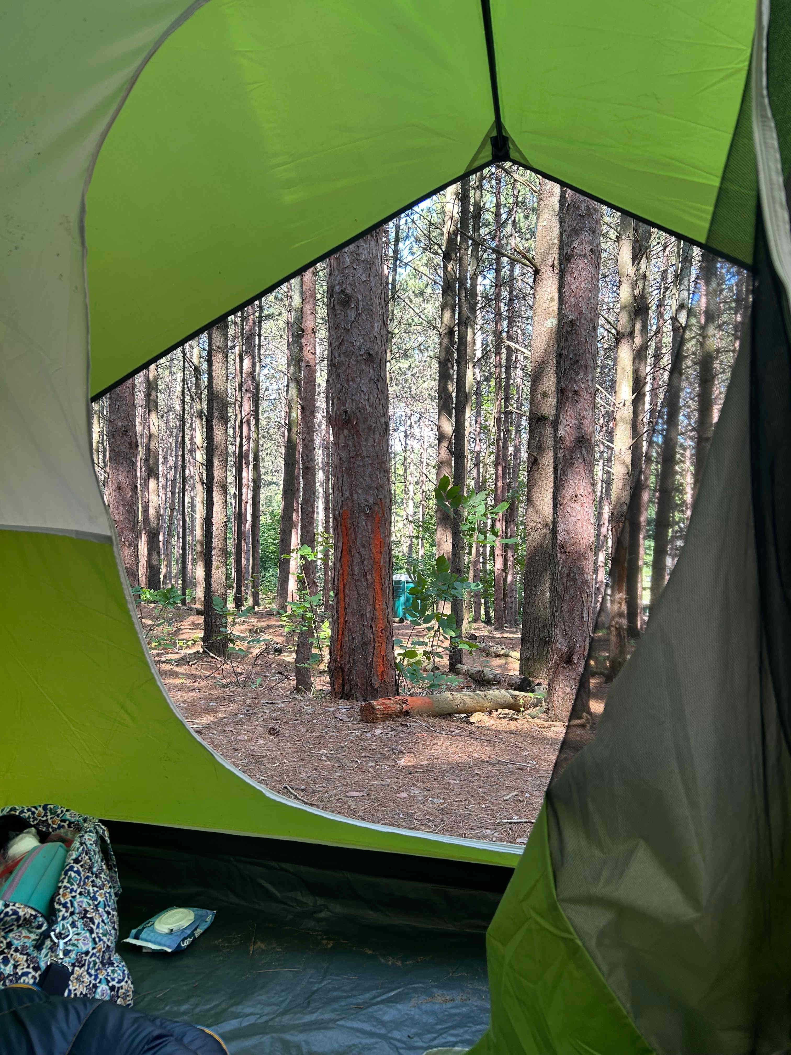 Camp Moonshadow