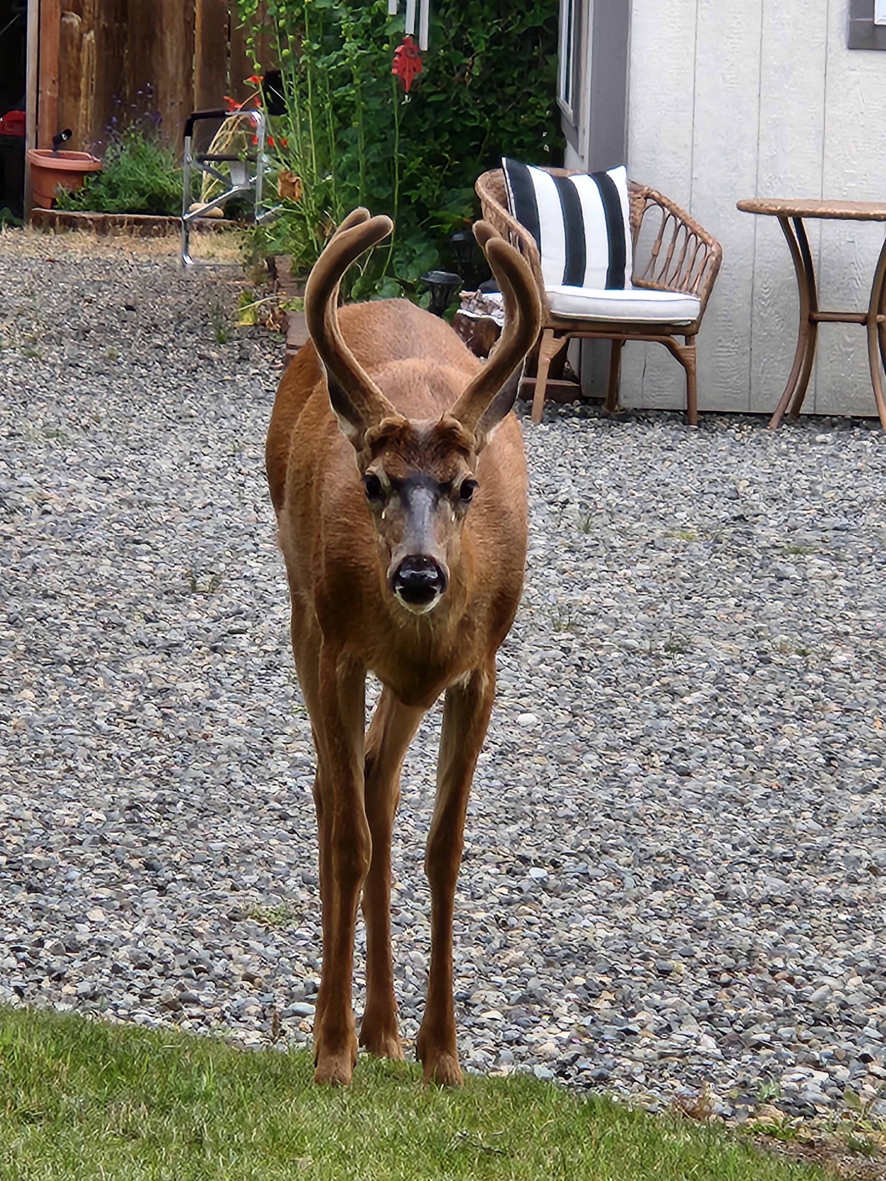 Peaceful Olympic Peninsula RV Sites