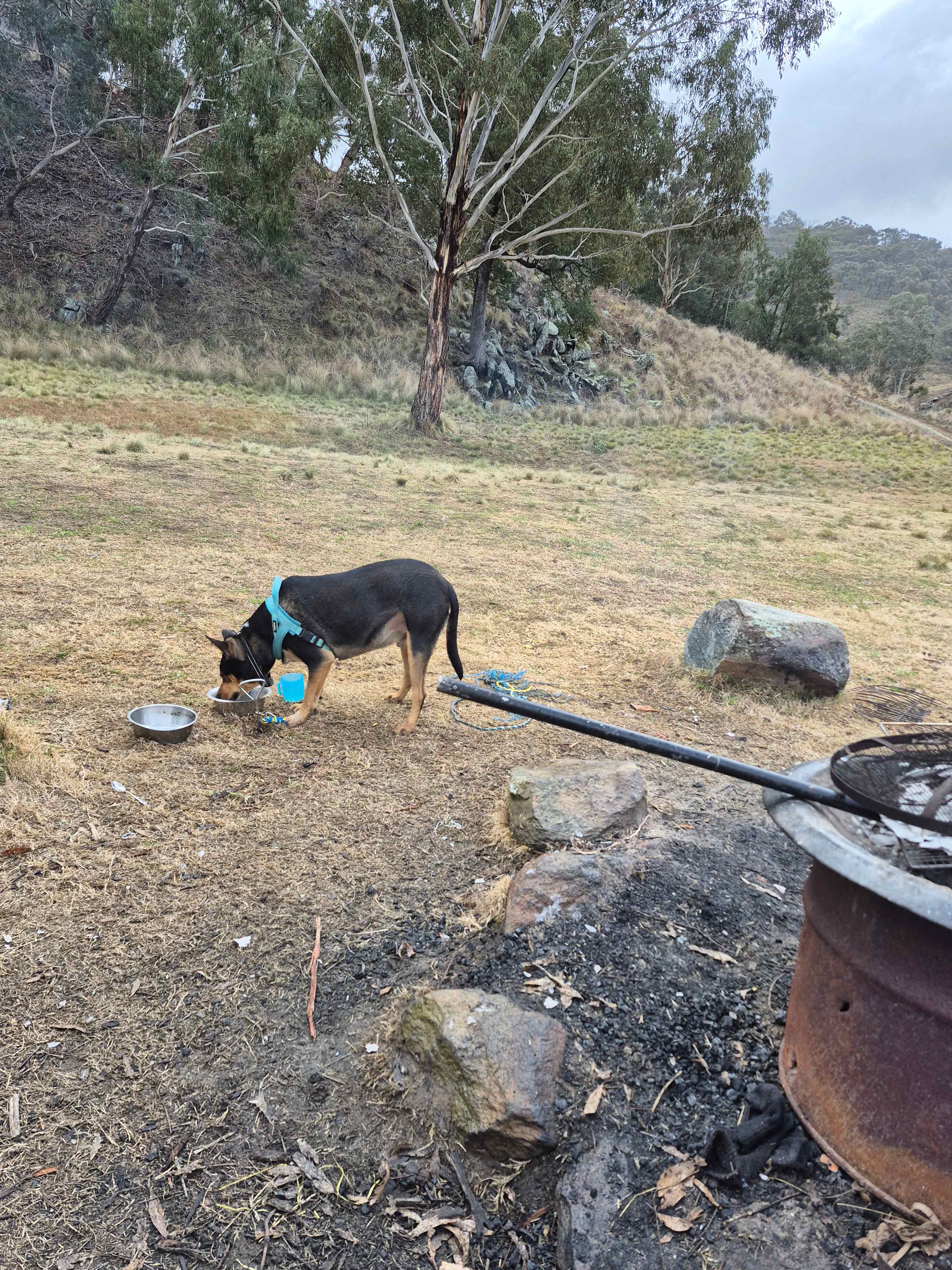 On the Stone River Retreat