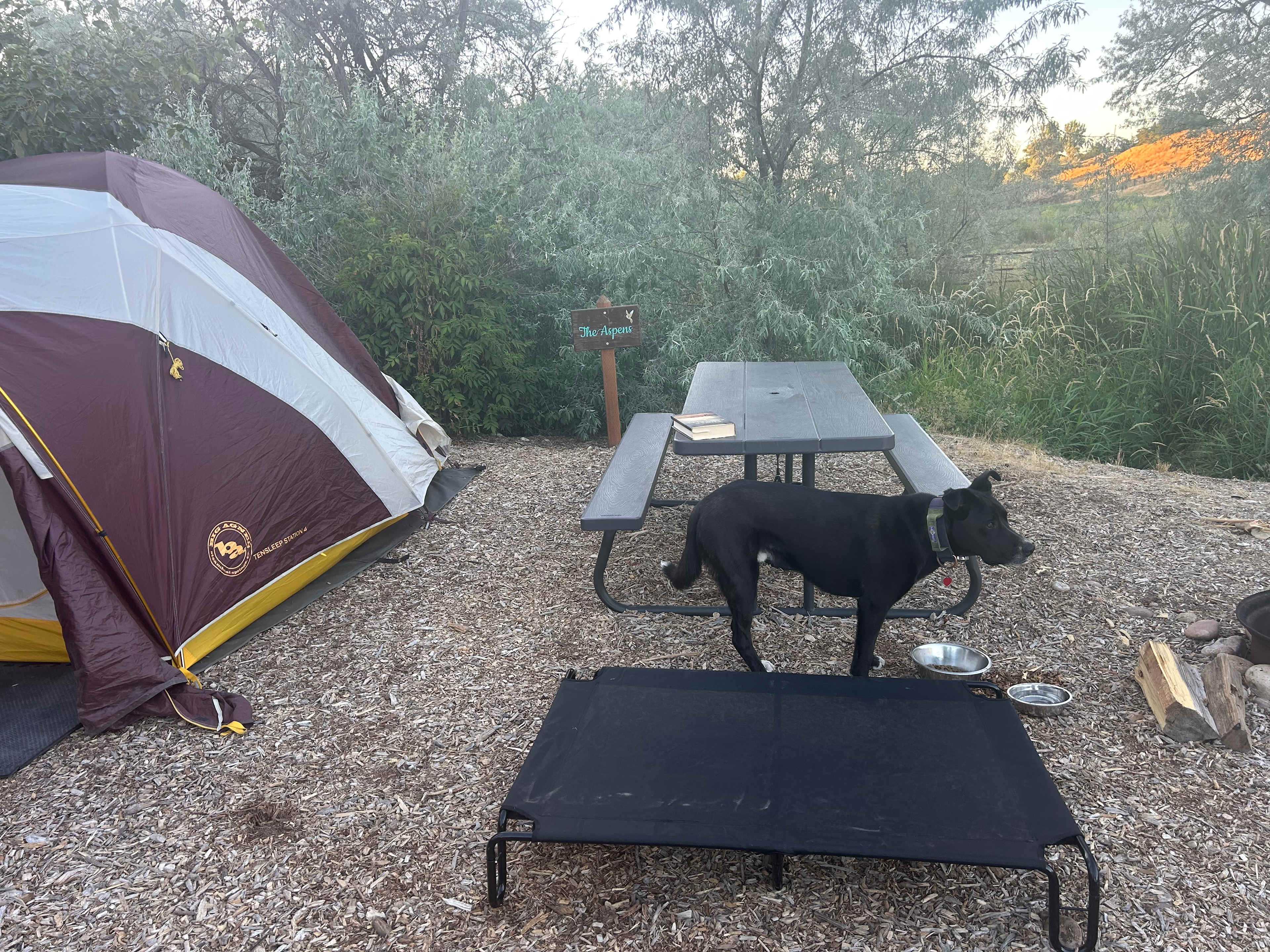 The Aspens site