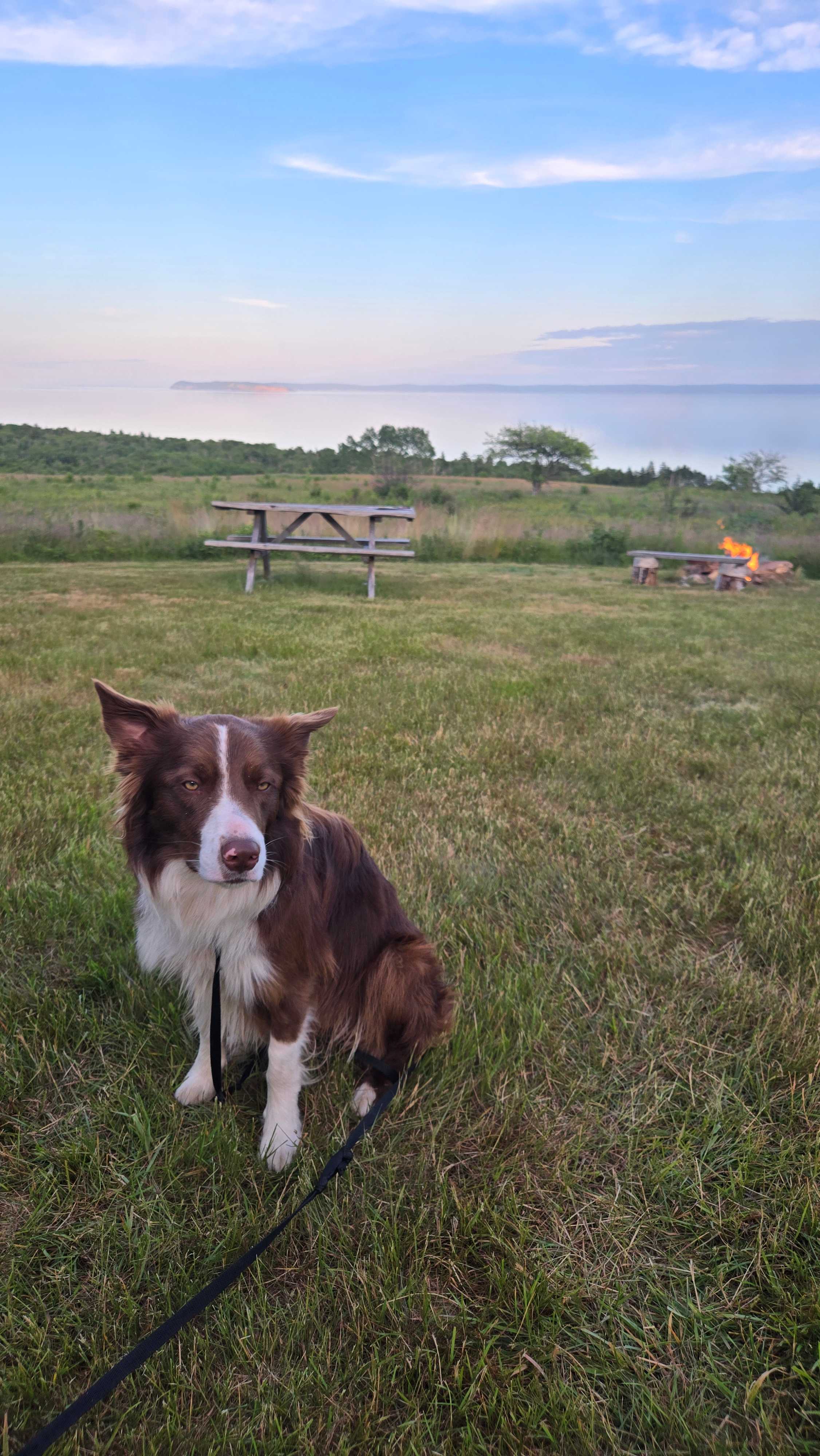Fraserville Off-Grid Camping
