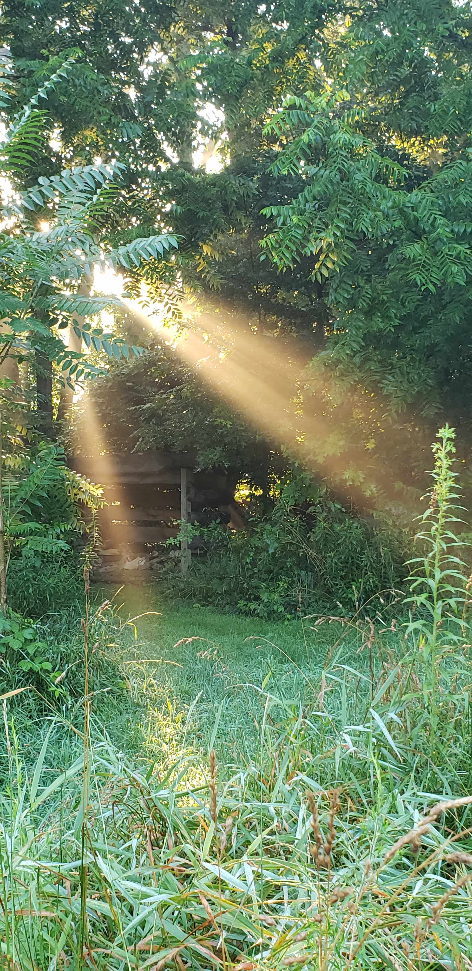 Three Dog Homestead