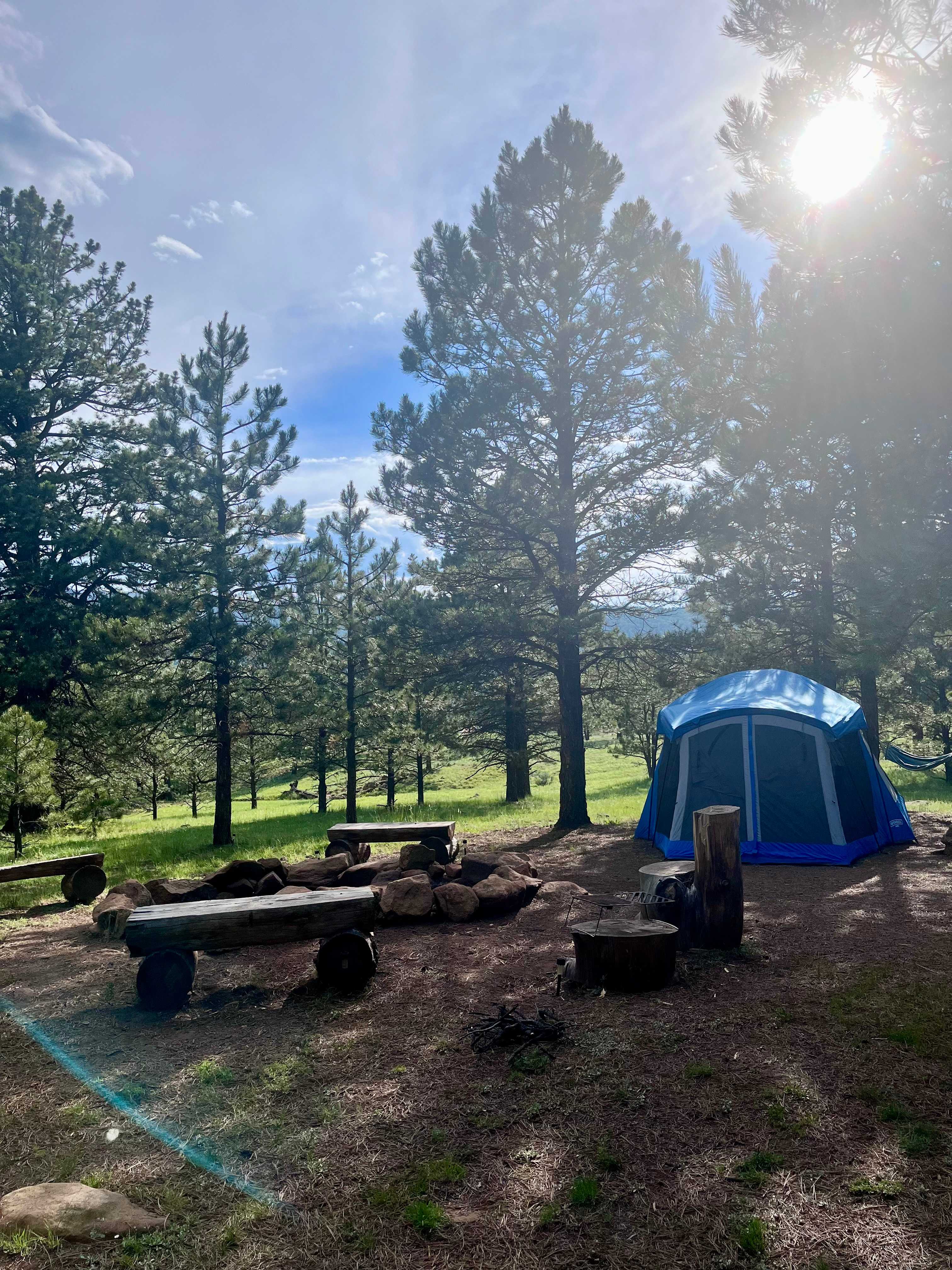 Picture of the site