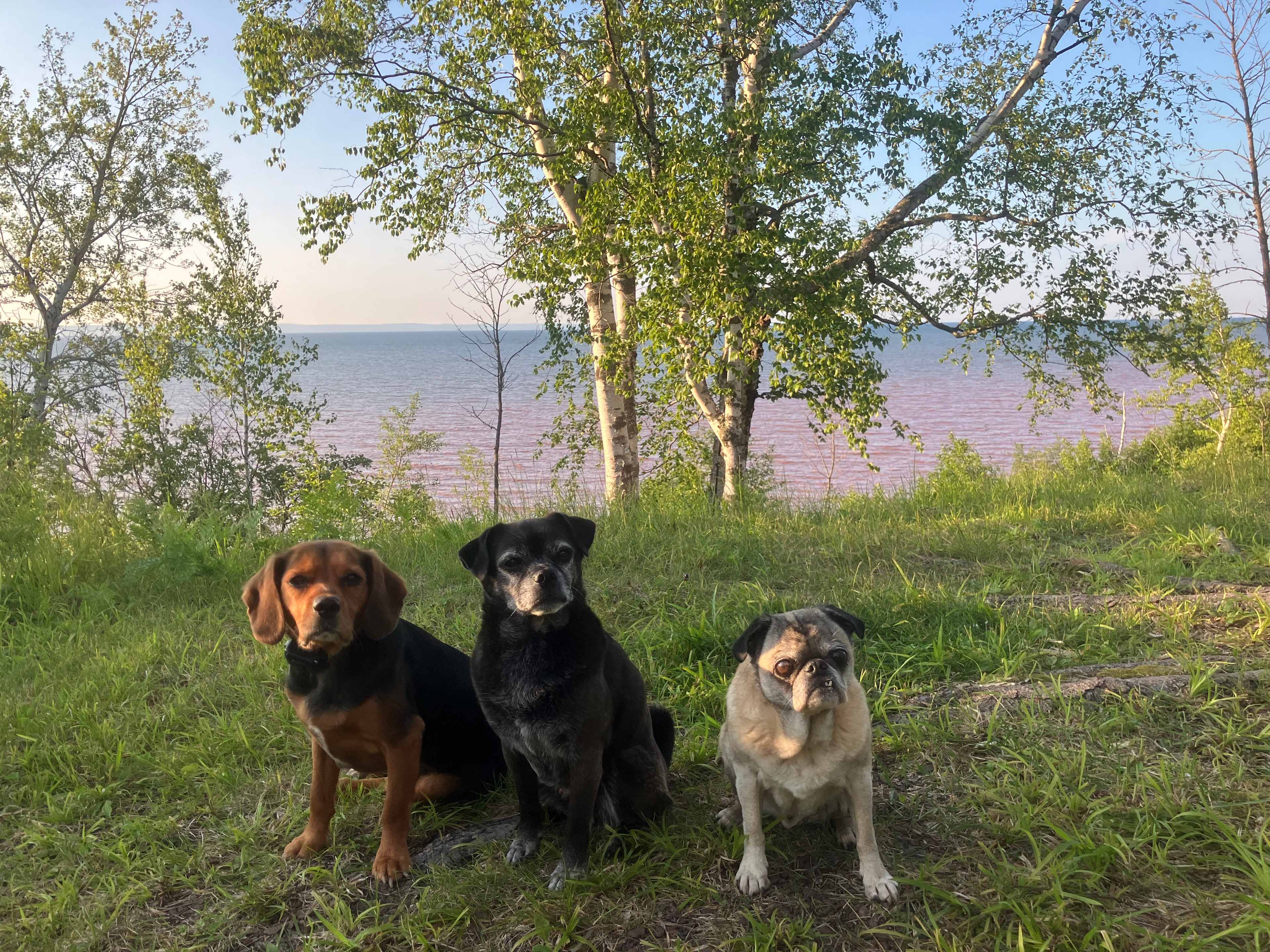 Superior Beach Camp