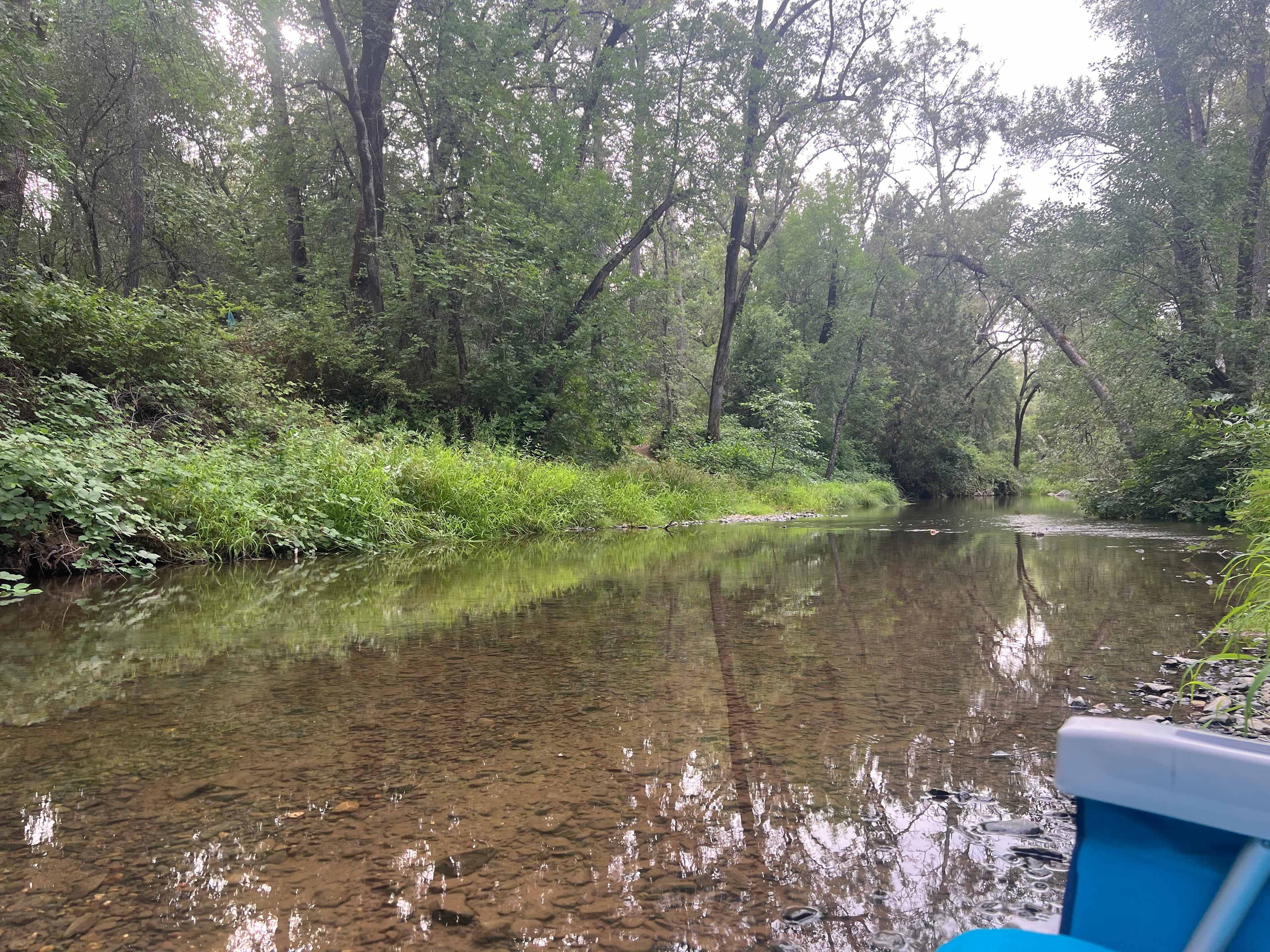 Camp Run Amuck Hollow
