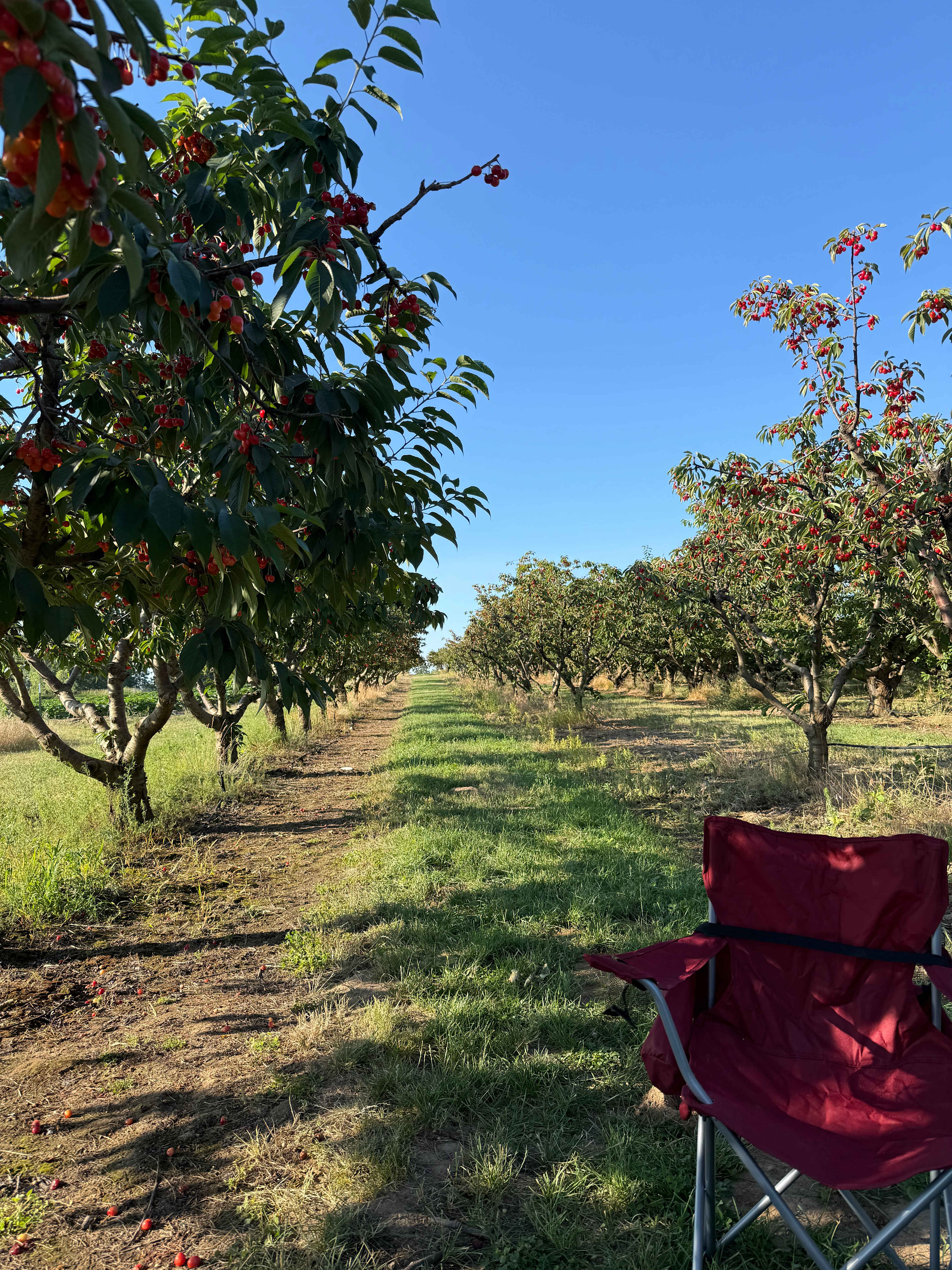 Hidden Acres Orchards
