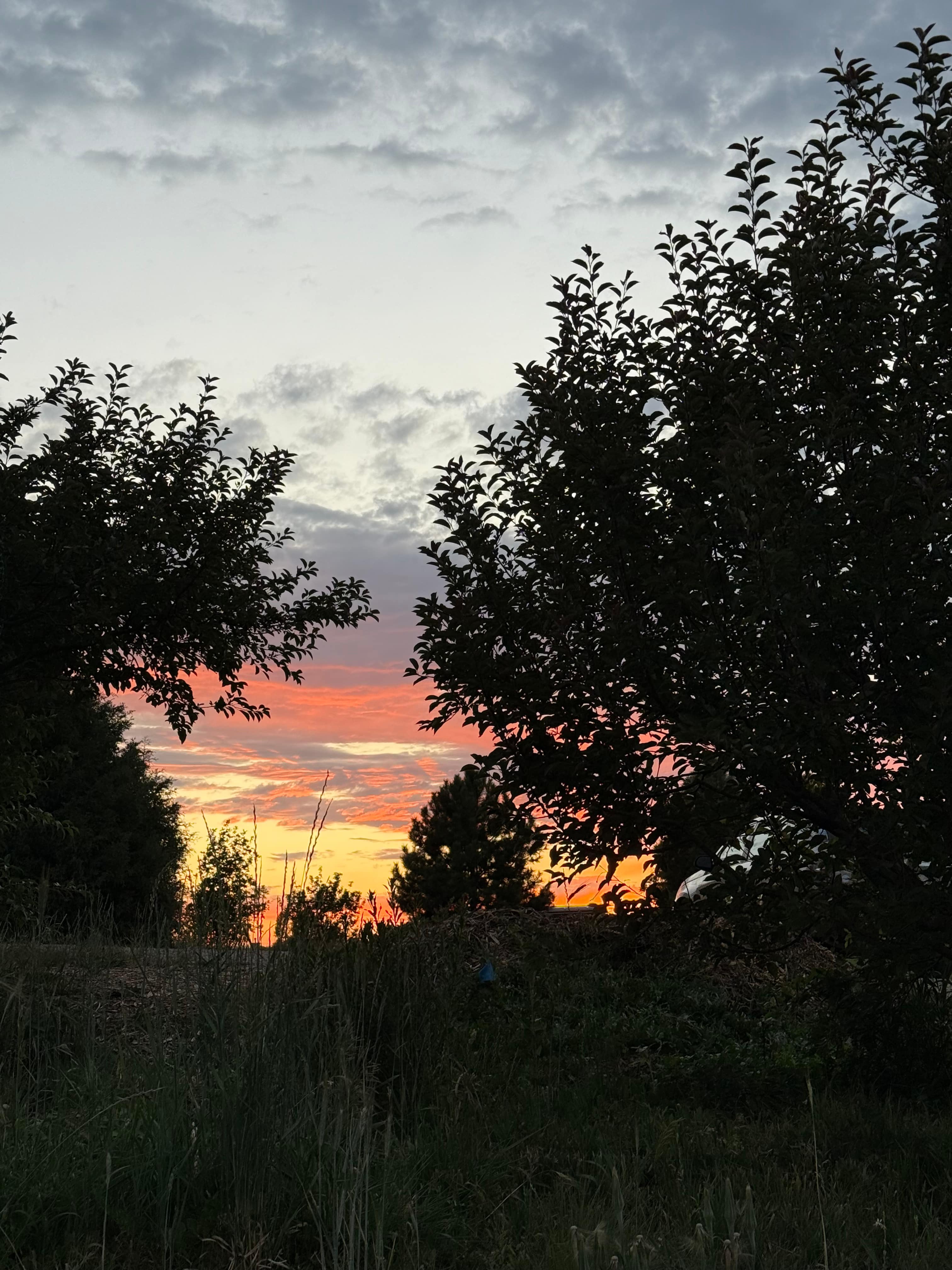 Loved watching the sun set each evening as well