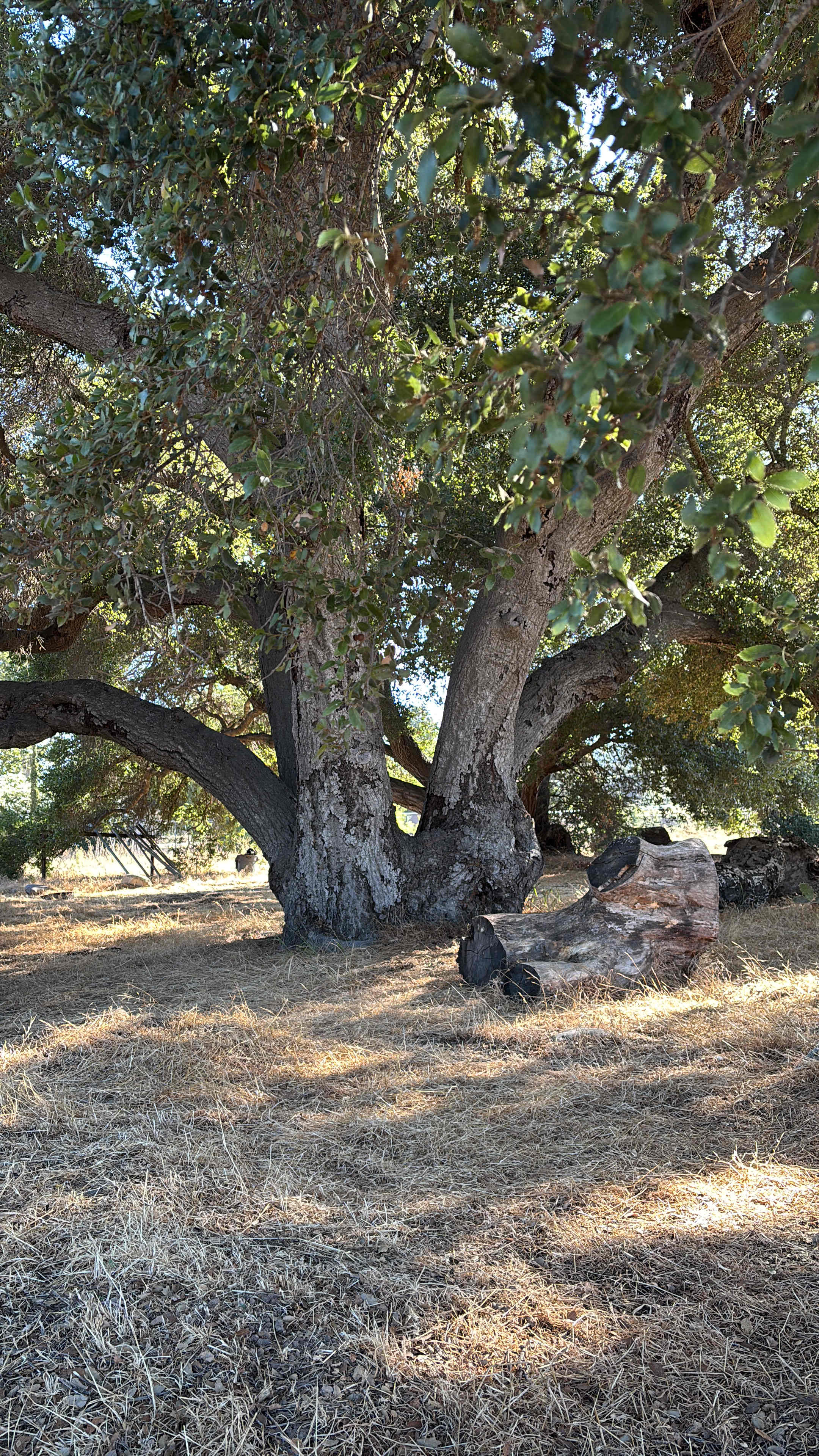 This is their bigger campsite offered, not the one we did!