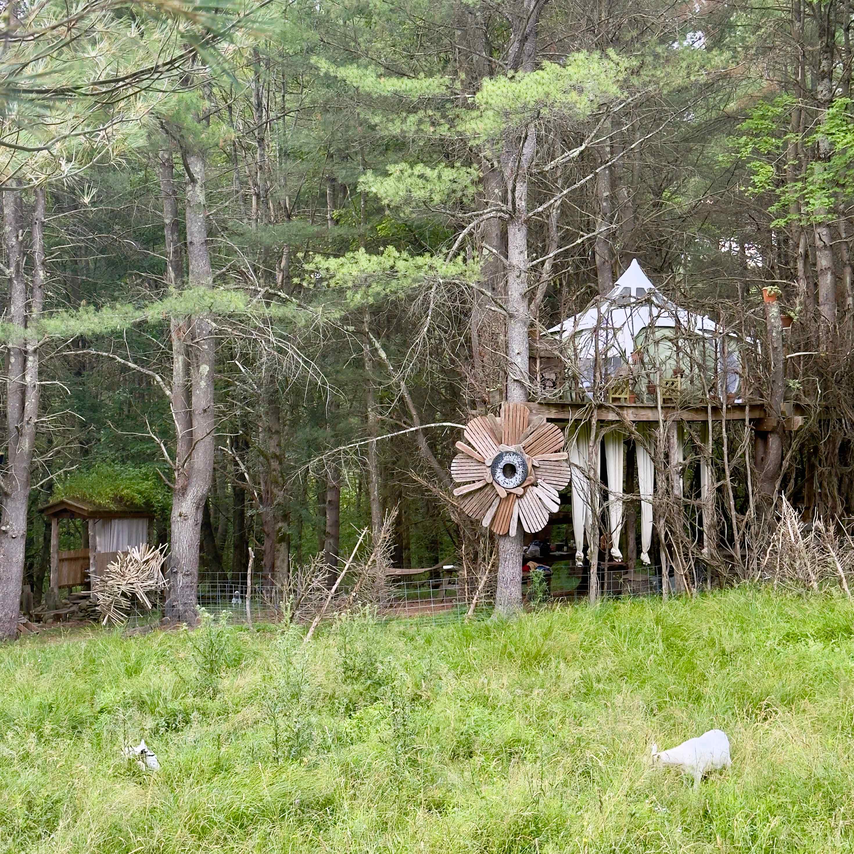 The site