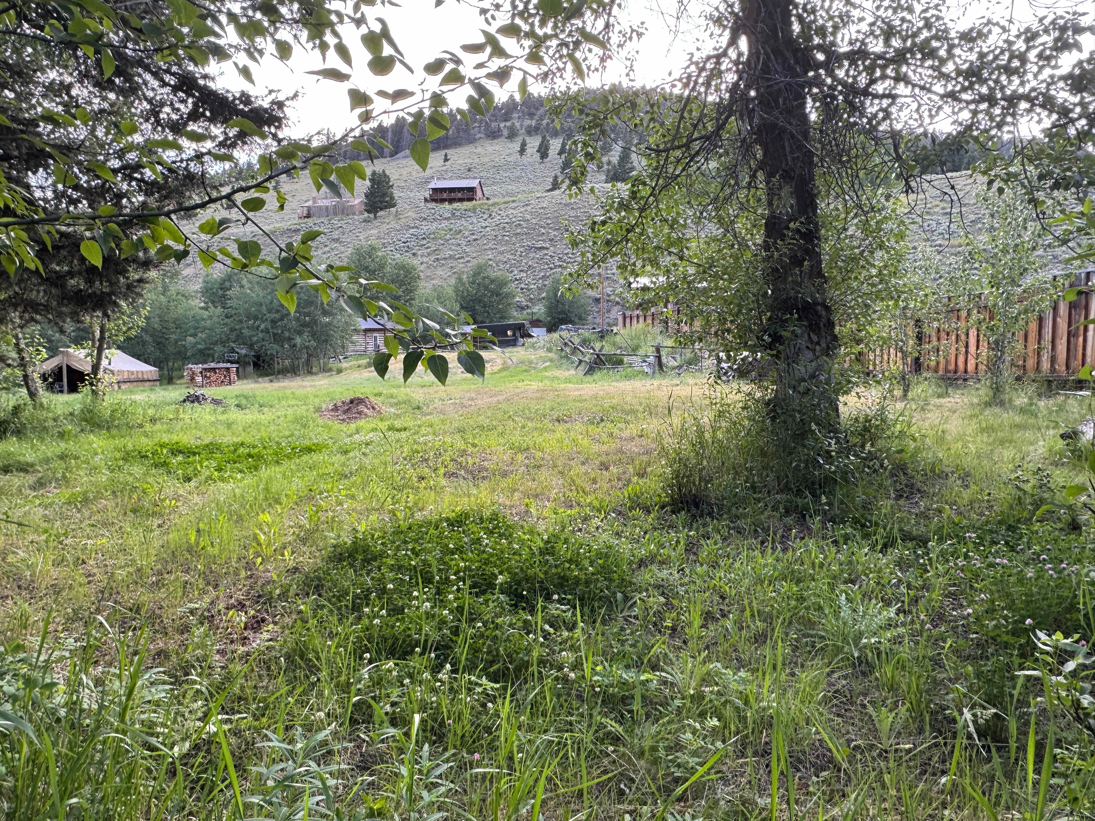 The view from near the creek, at the RV site. The wall tent is in the left of the photo, and just up the hill from there (middle of the photo) is the 1880s cabin that we are converting into a bathhouse for you to use next time you camp here. In the meantime, we ask that you bring your own self contained toilet. 