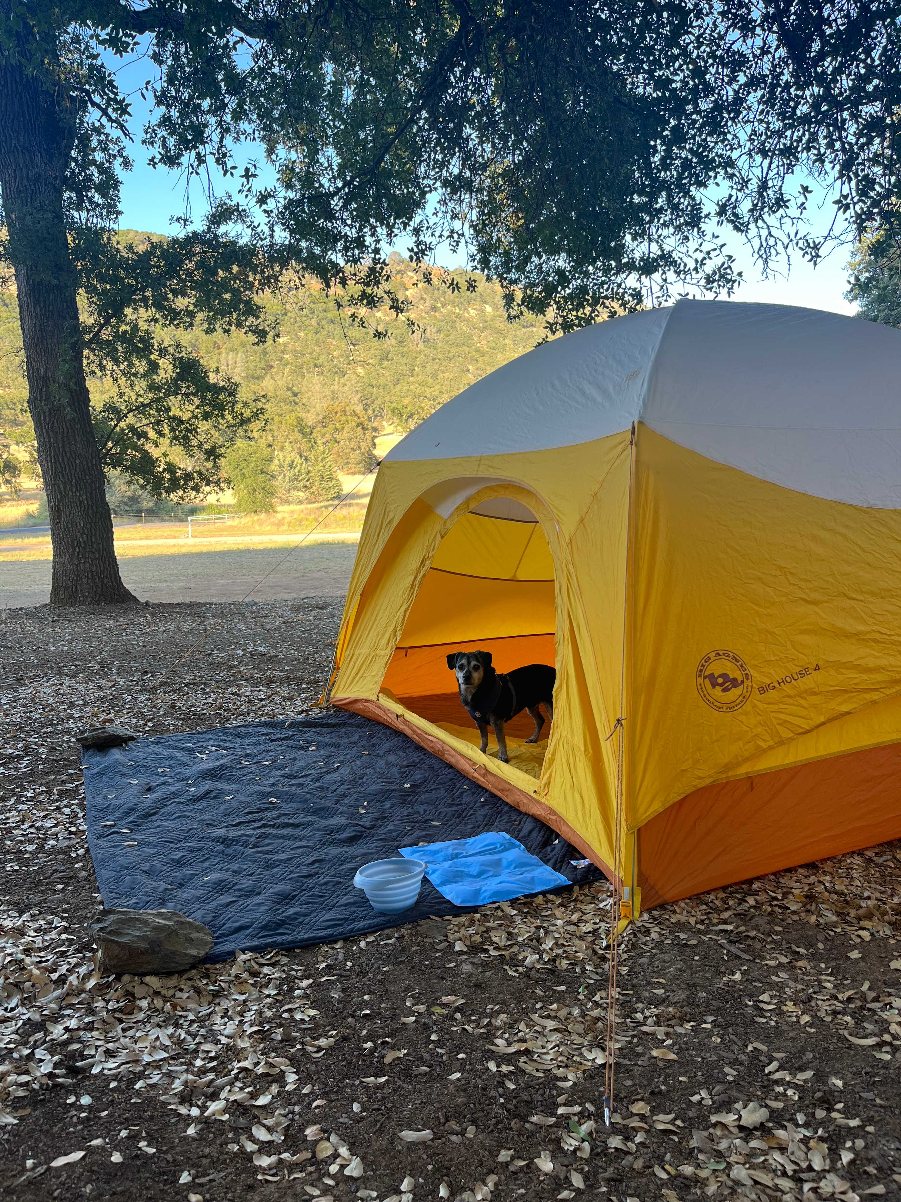 Prospect 772 Winery & Event Center