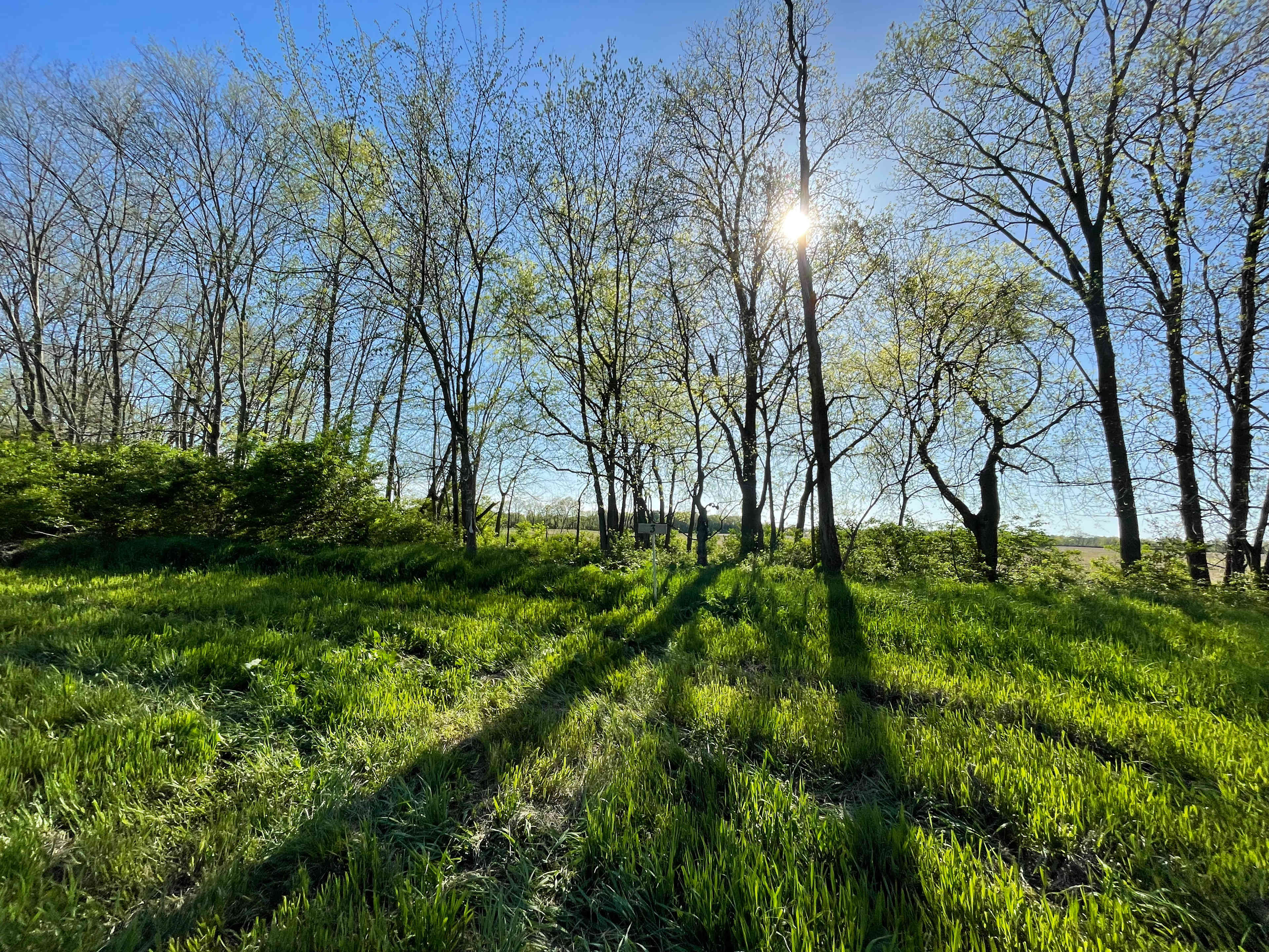 Bellawood Farm