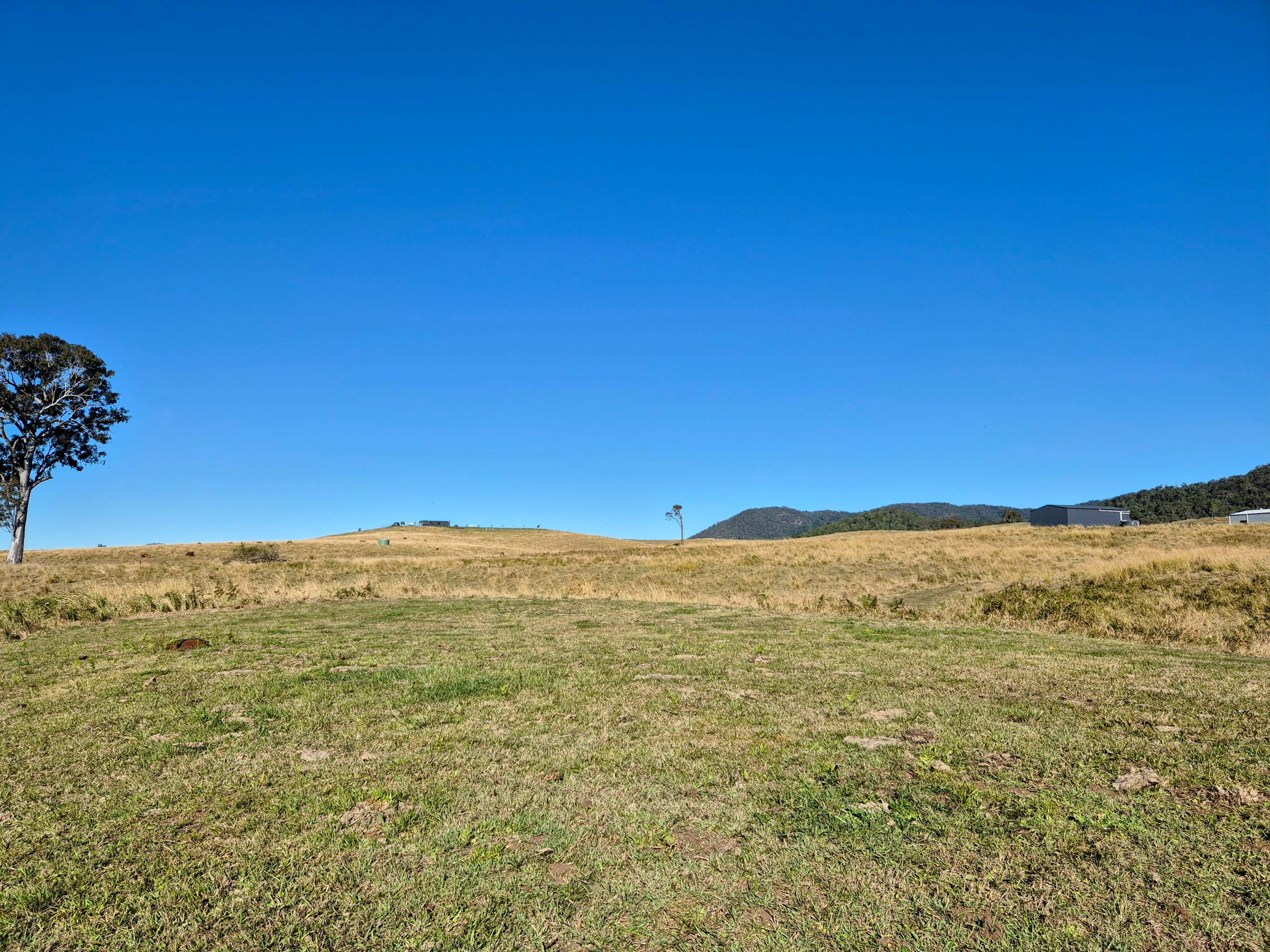 100 Acre Estate