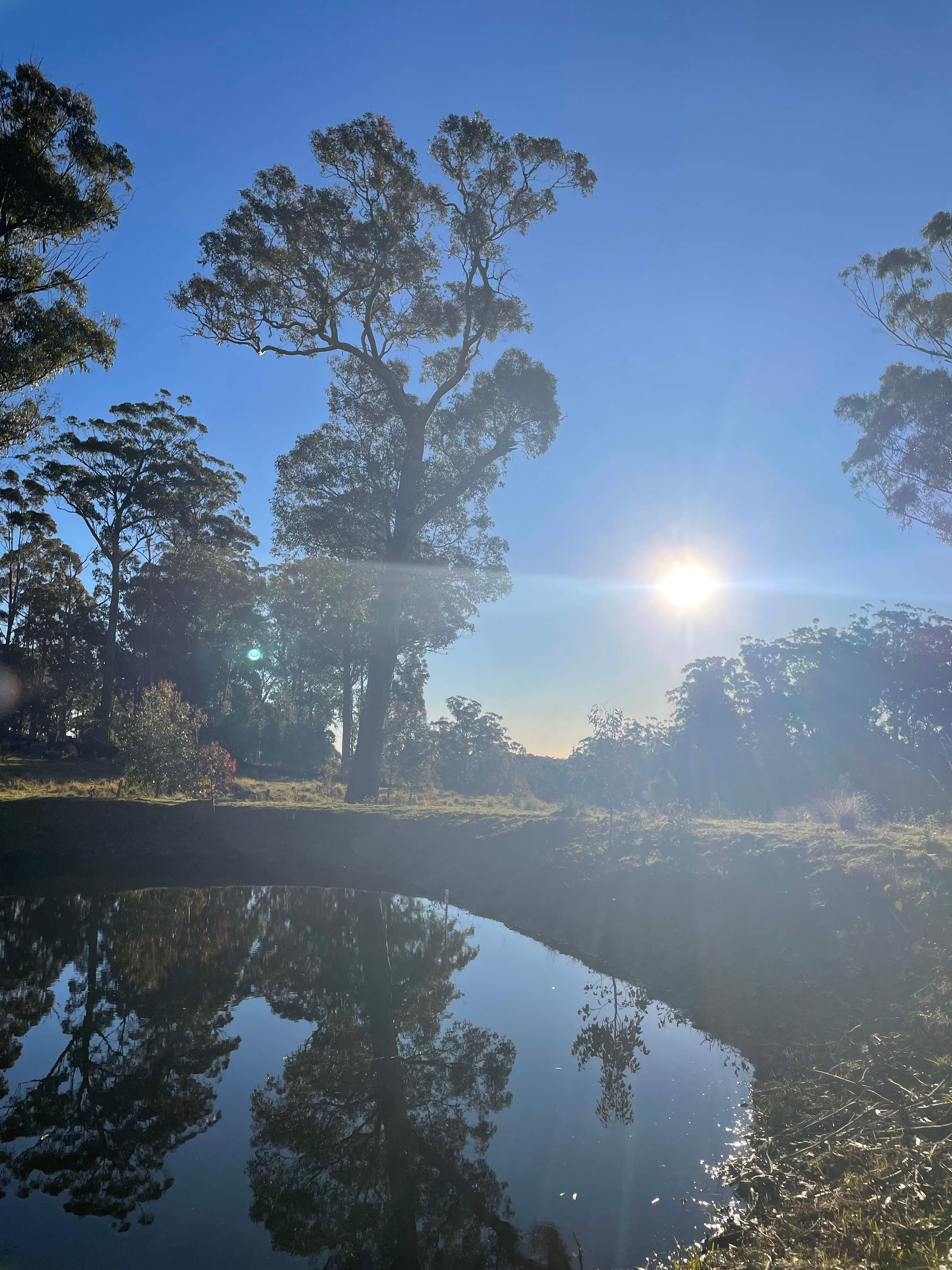 BAJIMBA Eco Camping and Farm Stay