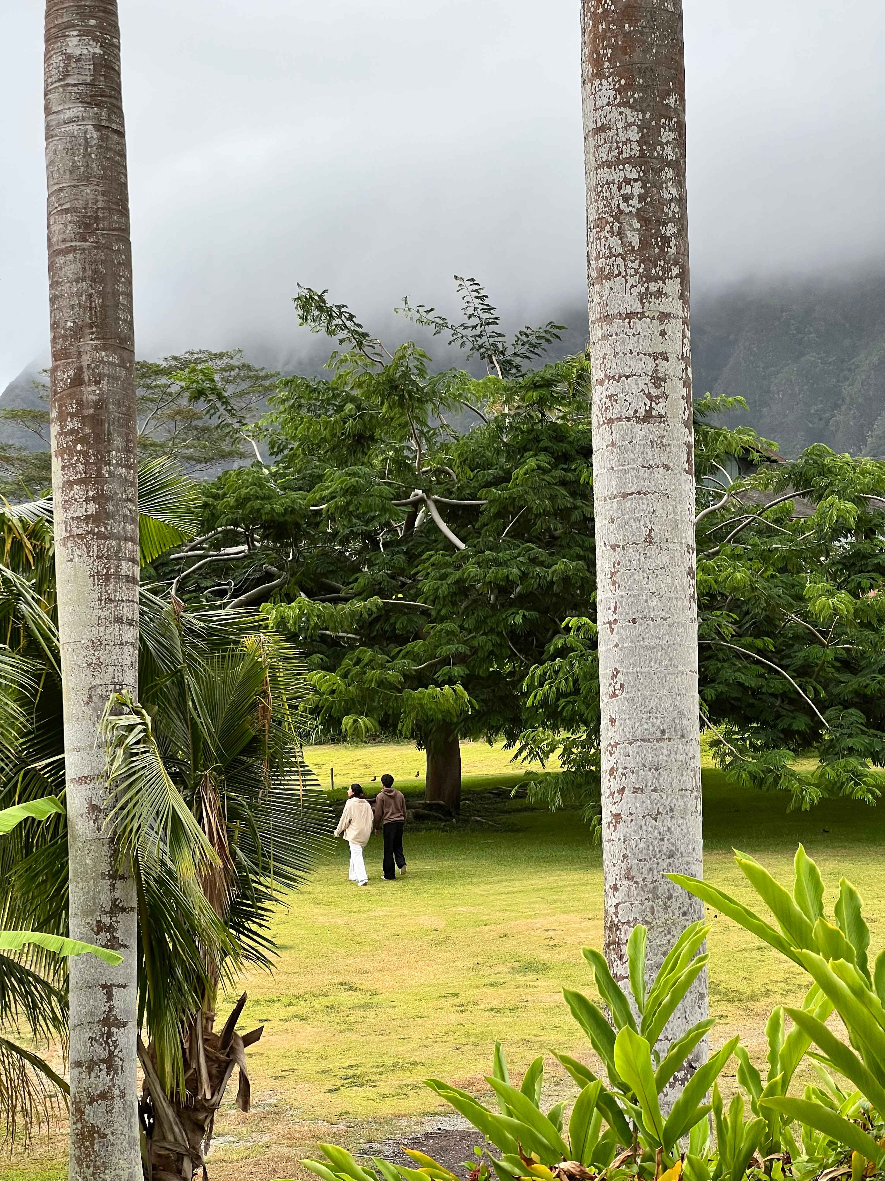 Waimanalo Farmstay