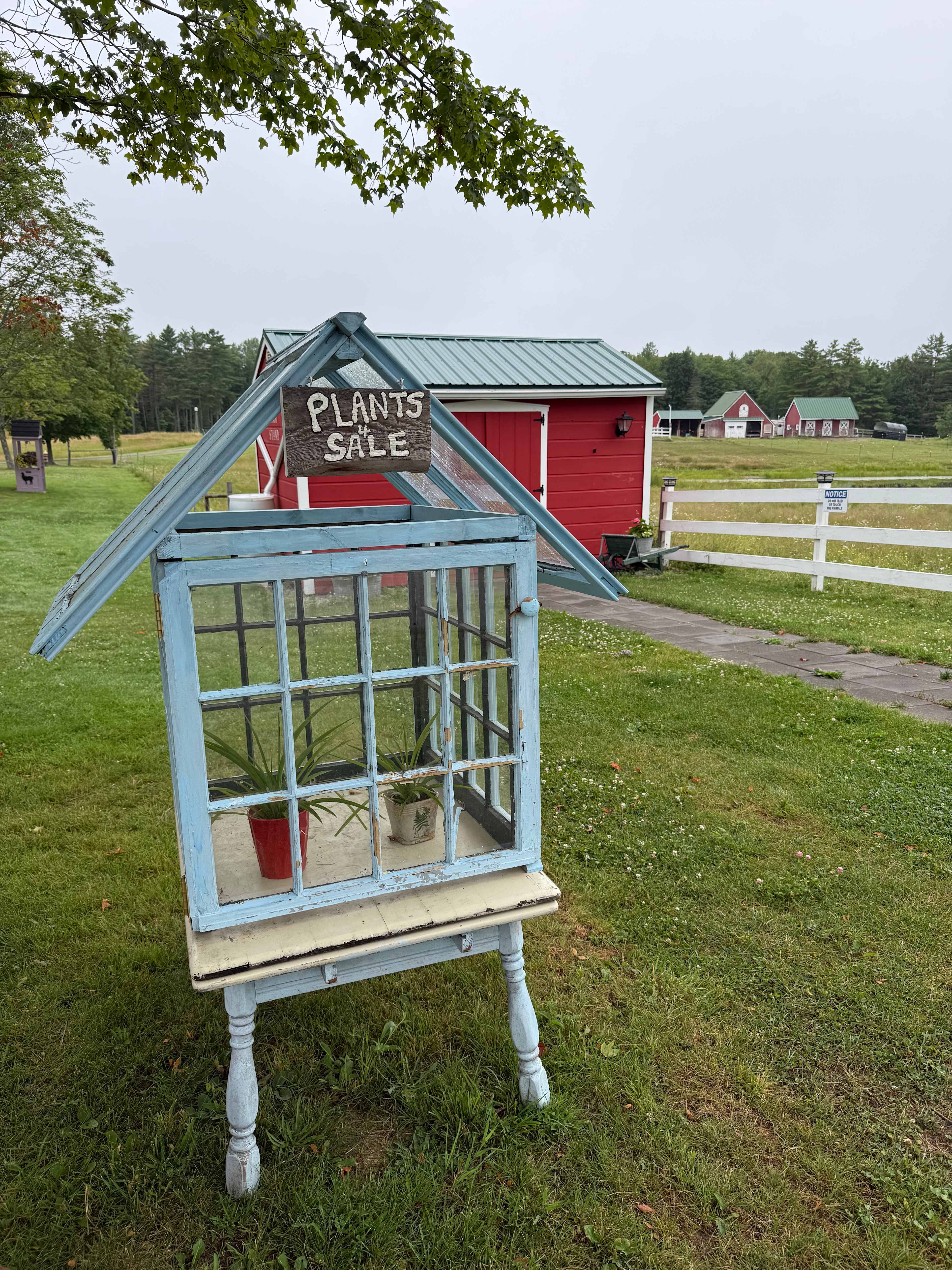 Iris Meadow Farm
