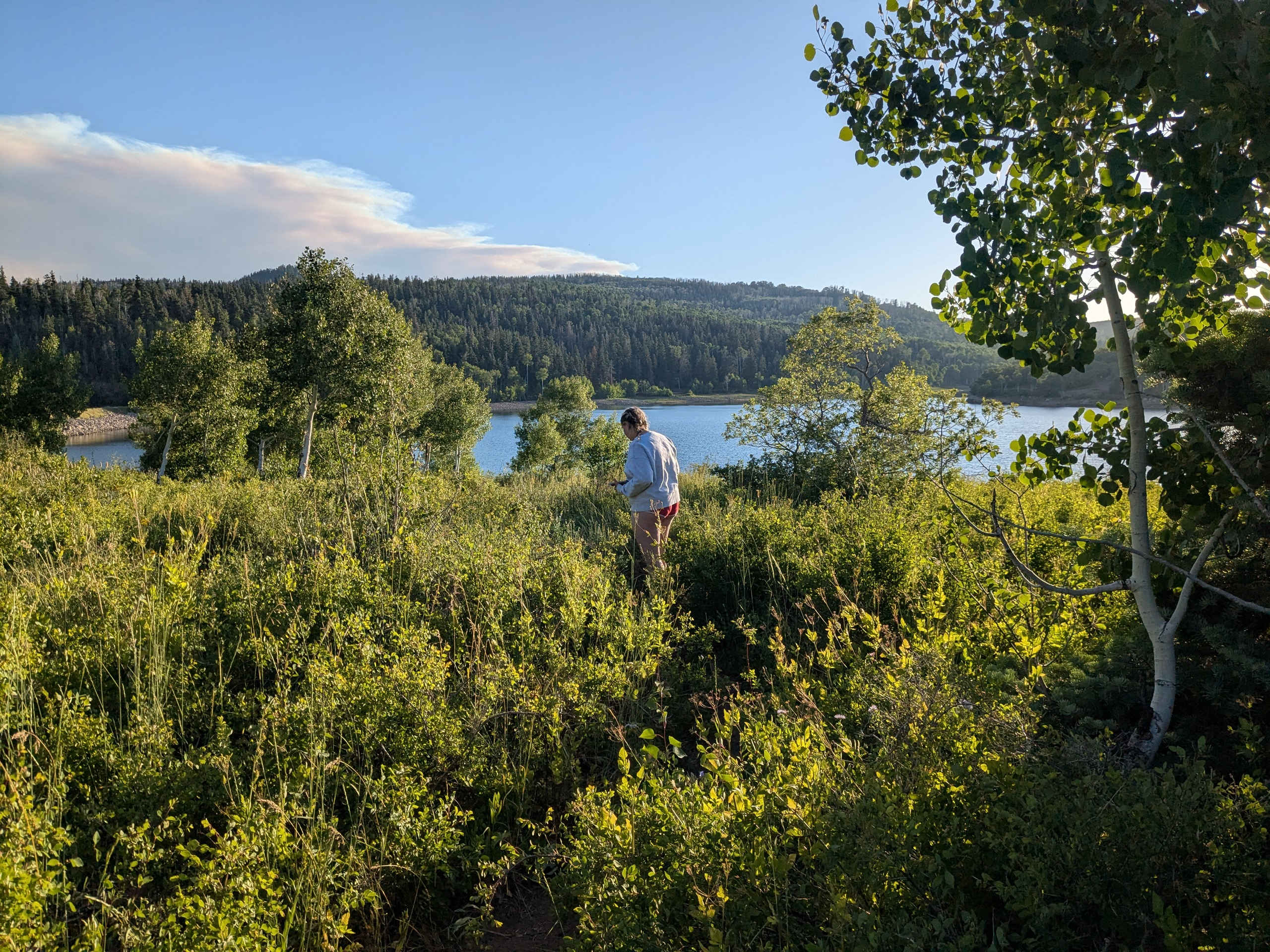 So many birds to see before sunset