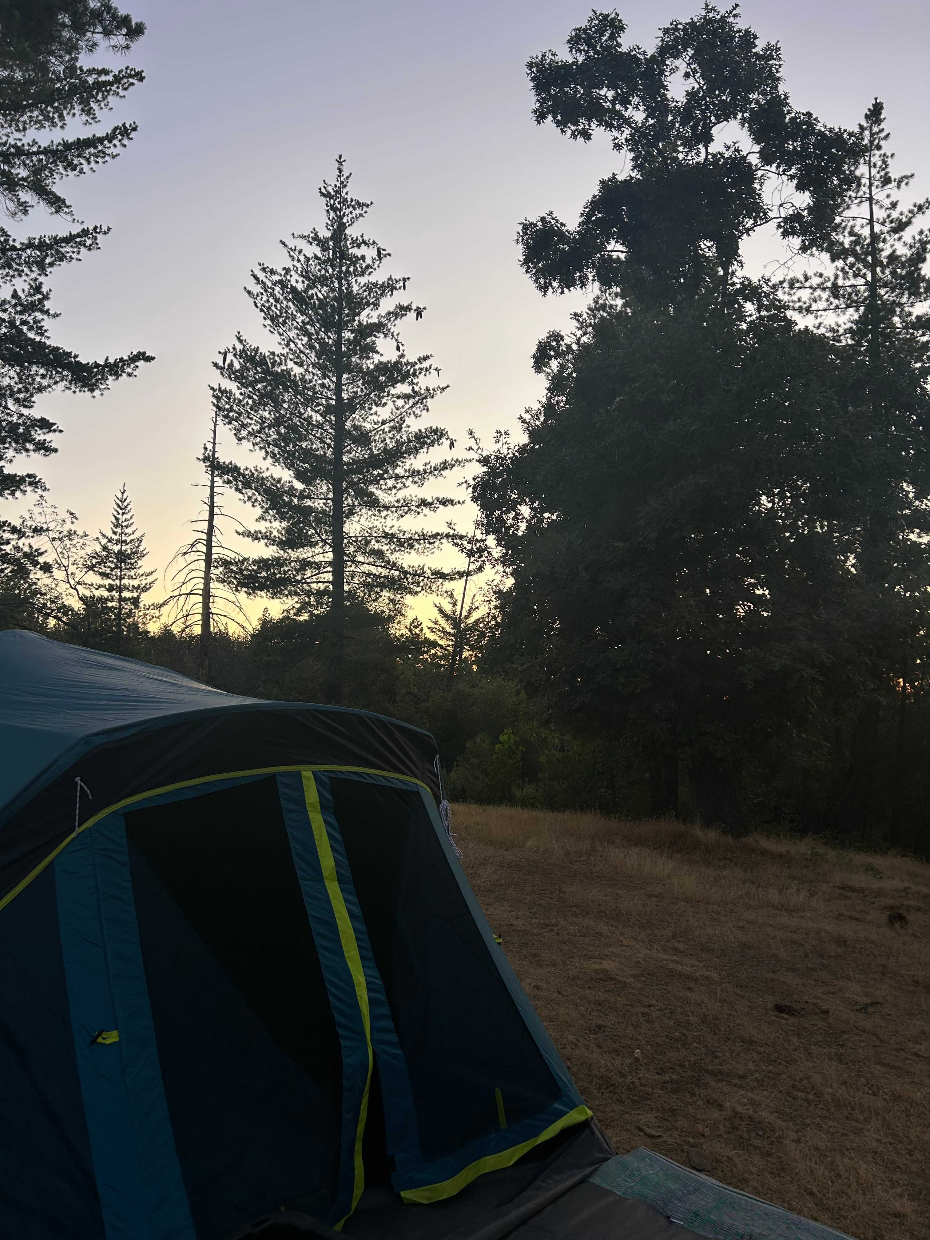 BaseCampByBo!