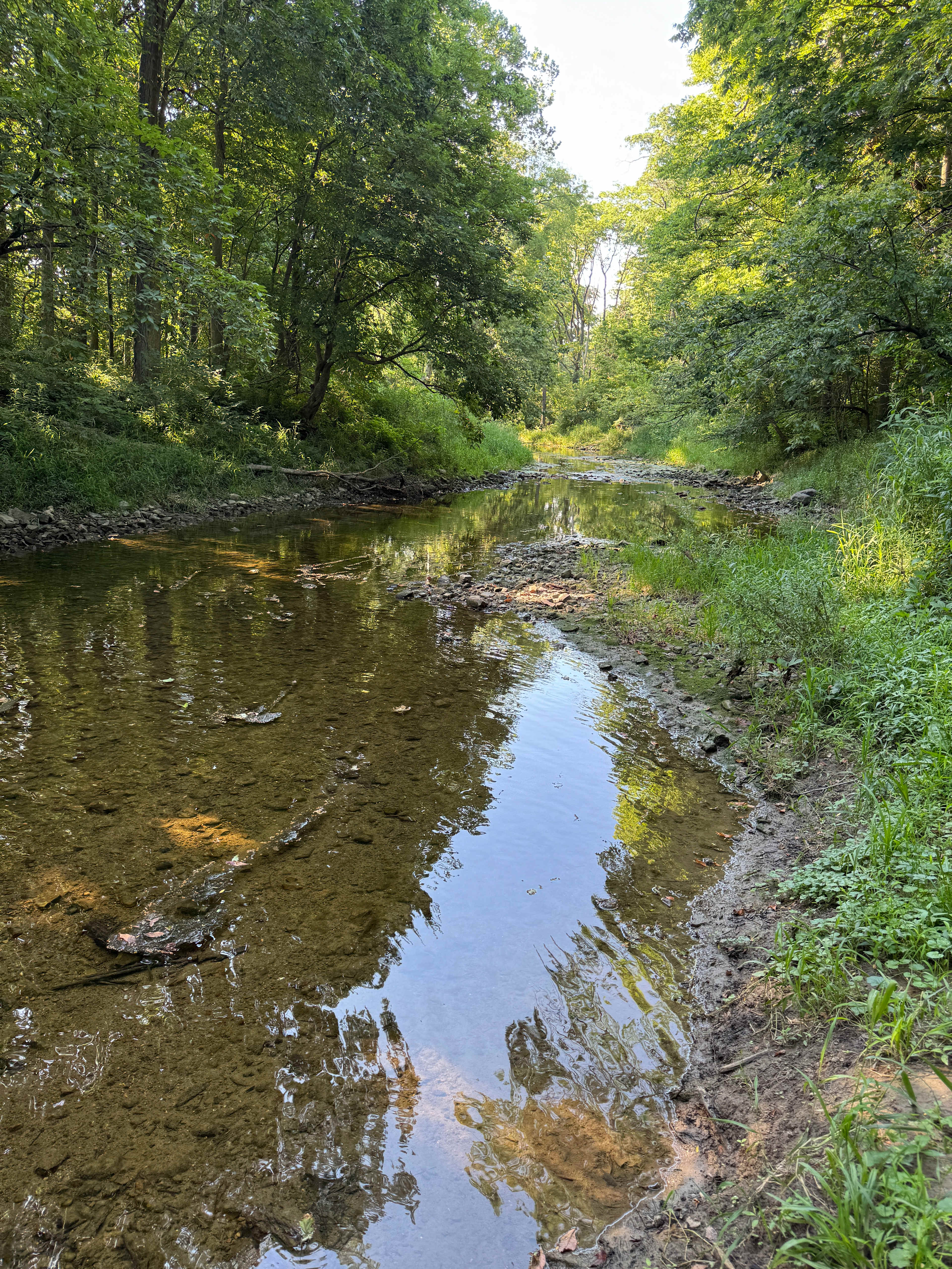 Rusty's Retreat with pond and river