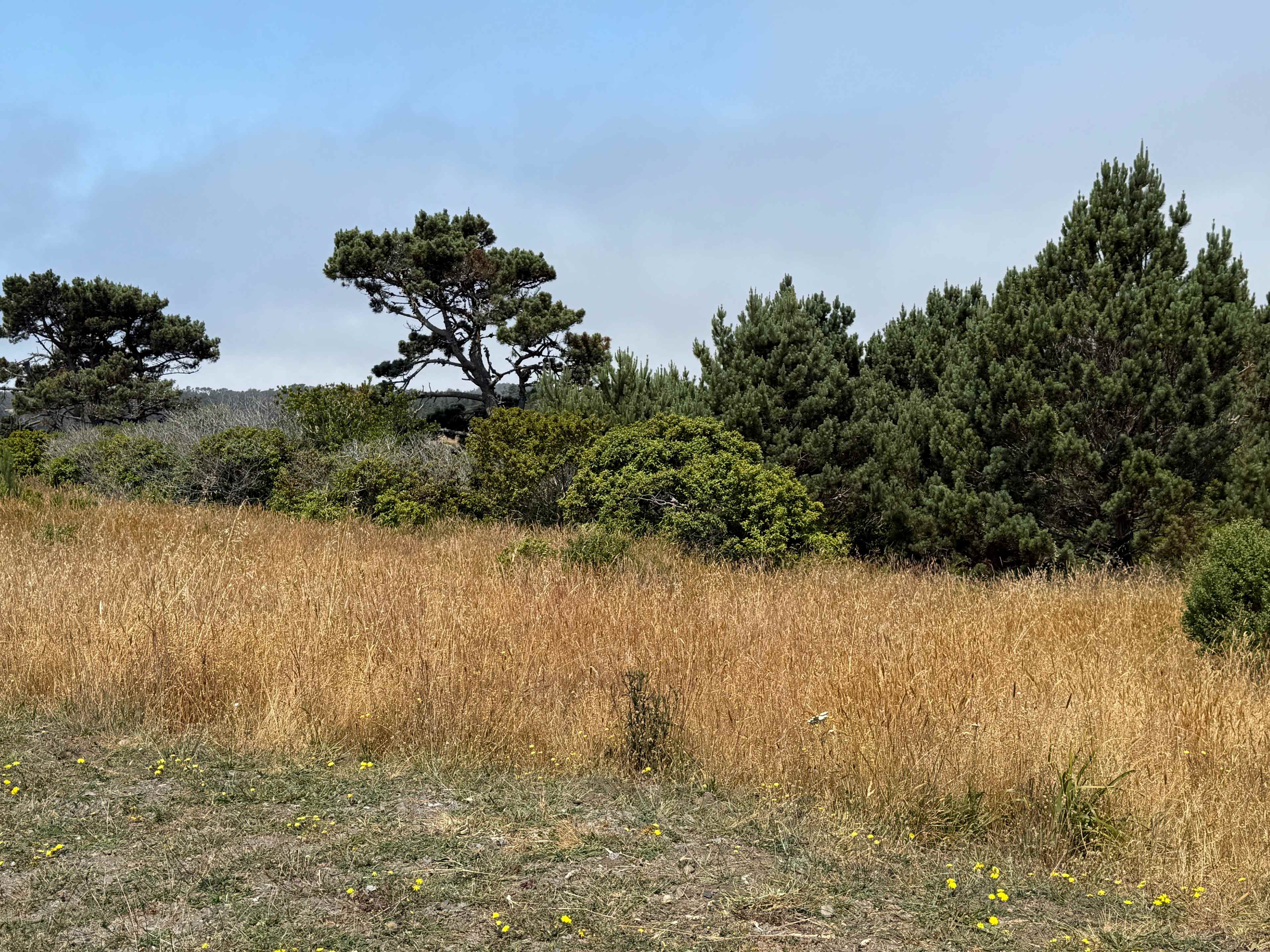 View toward the coast.