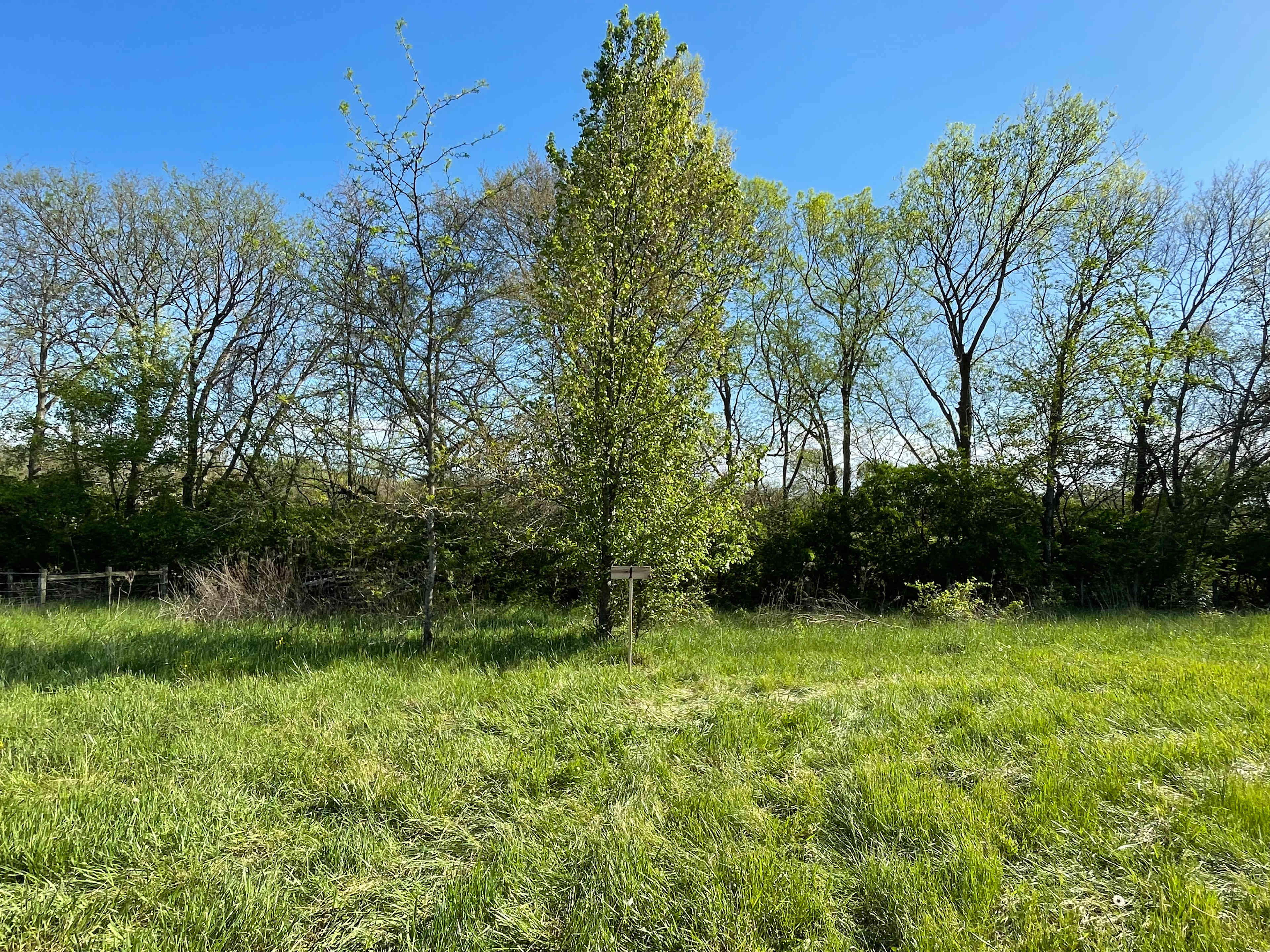 Bellawood Farm