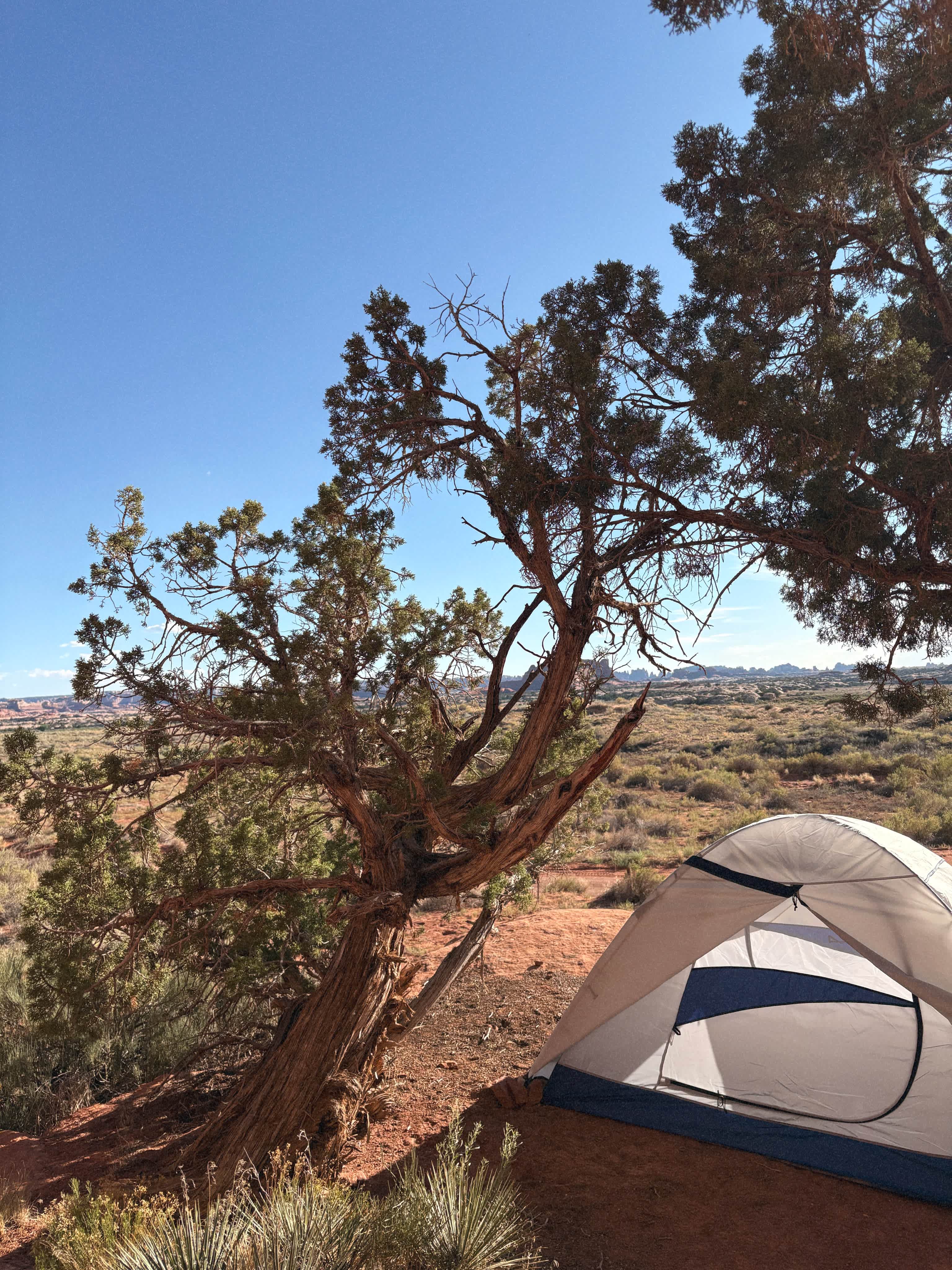 The Needles Outpost Campground