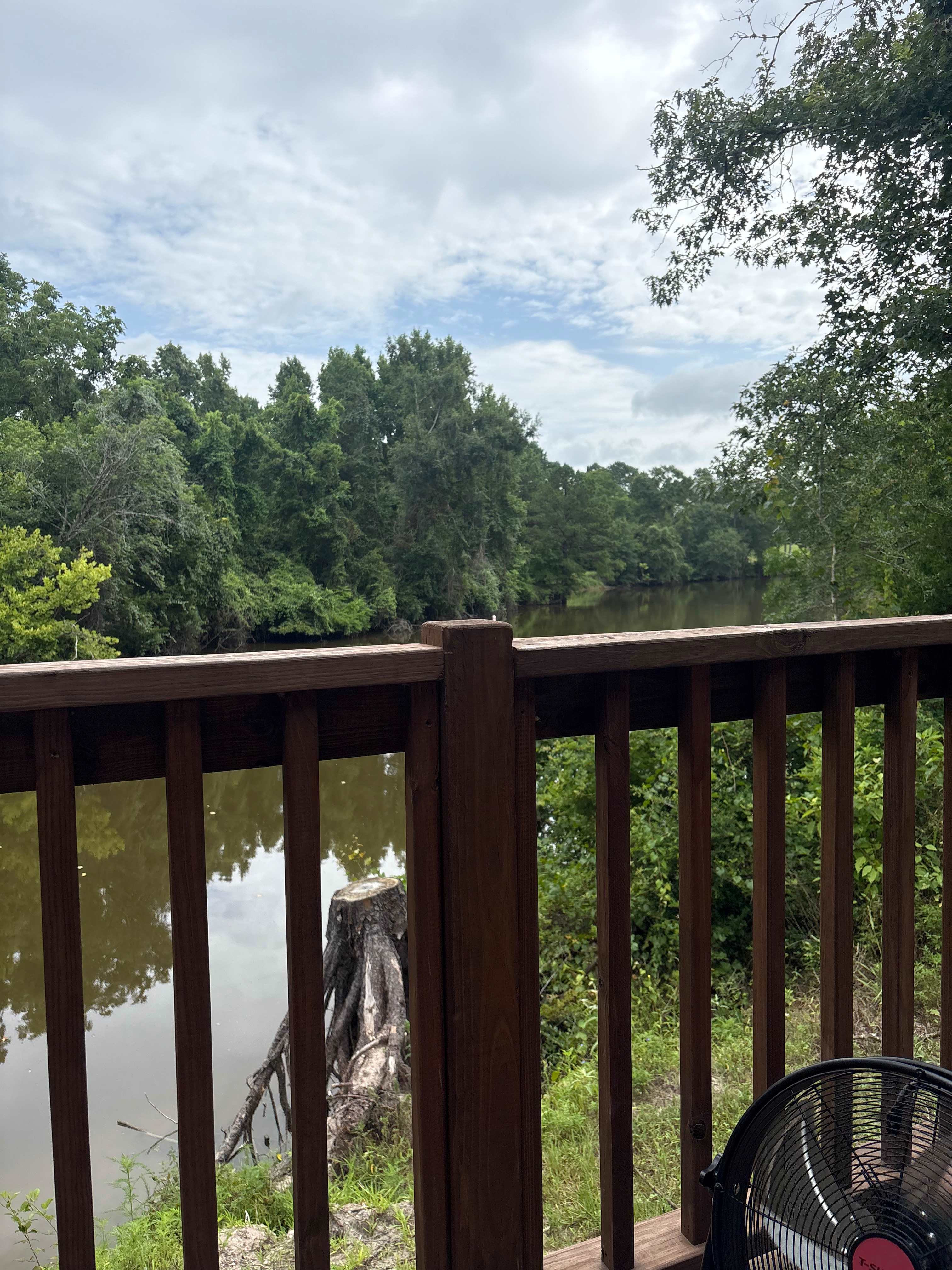 My view 