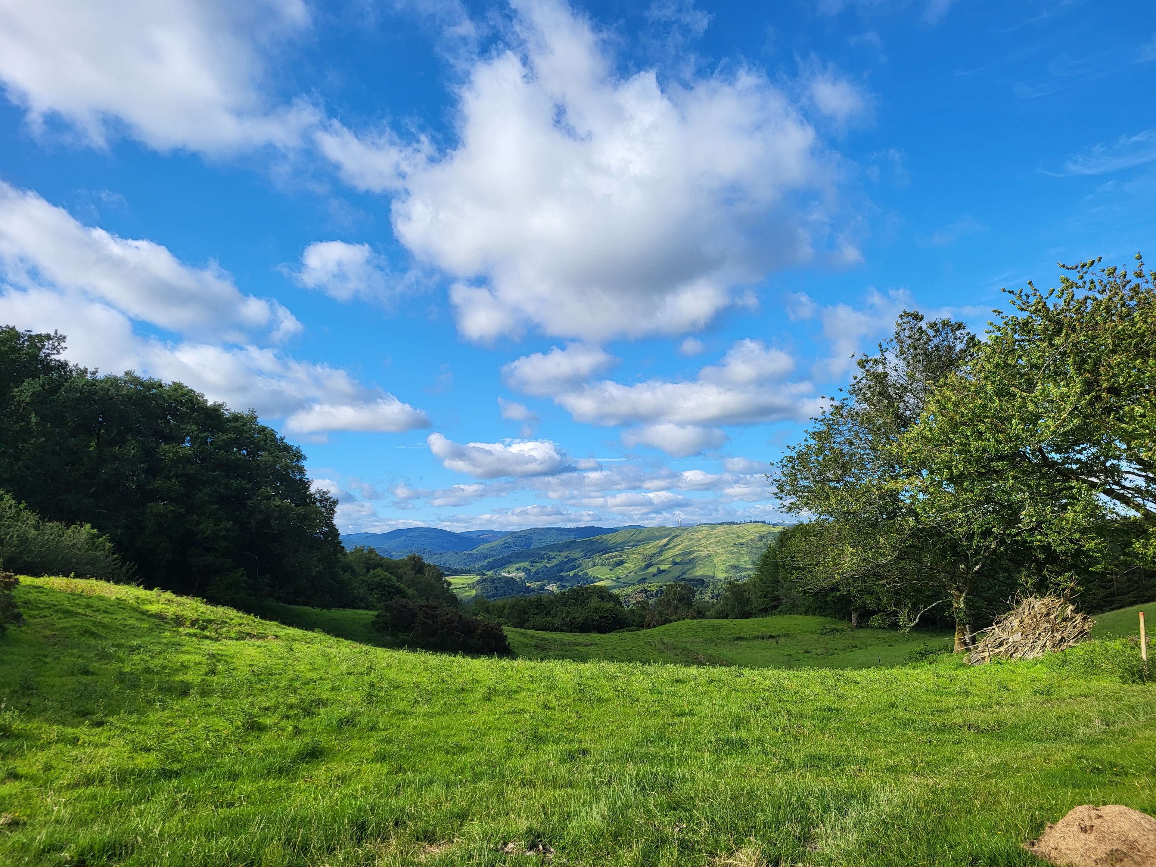 view from campervan field