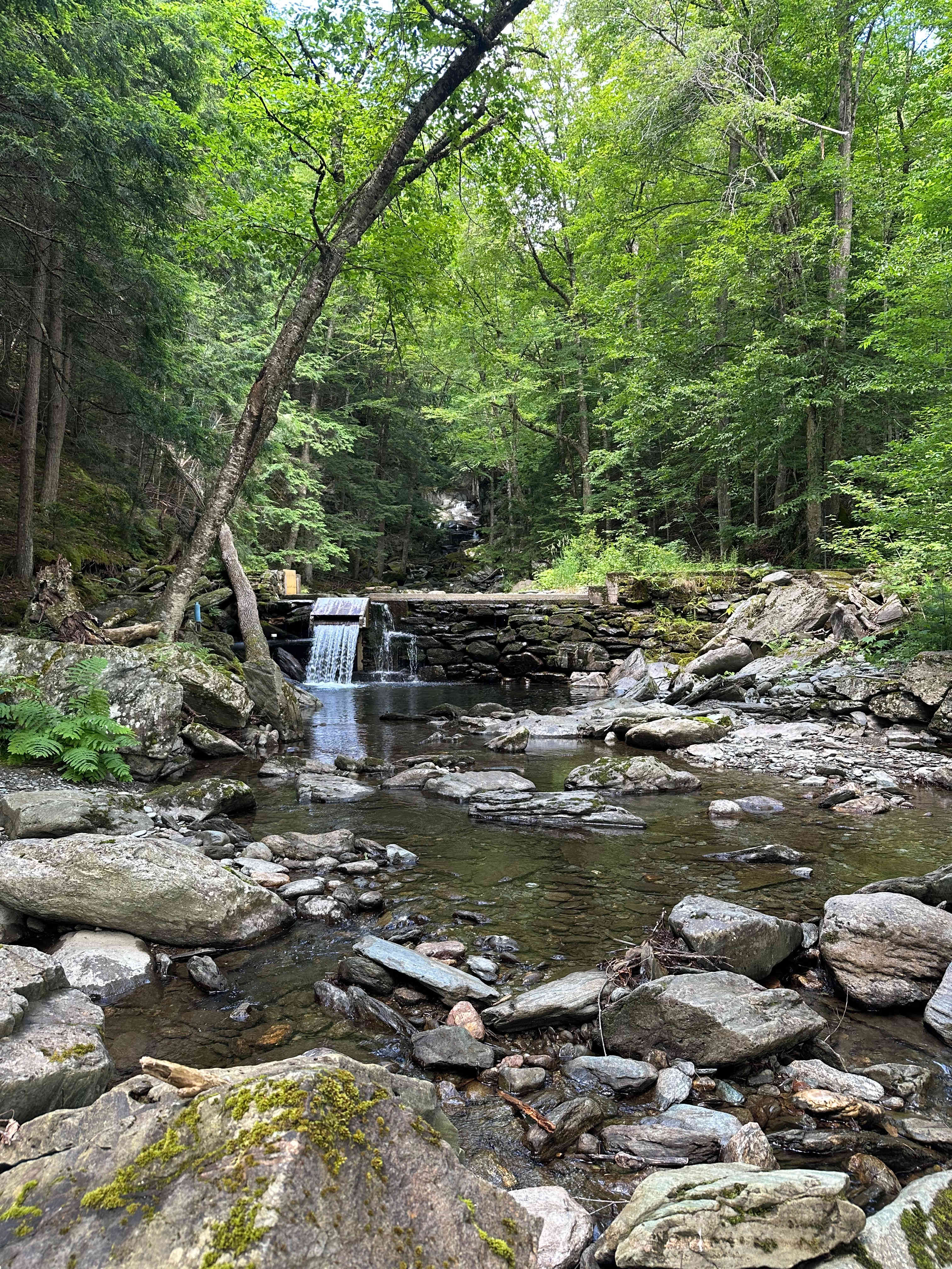 The Hollow at Dynamite Falls