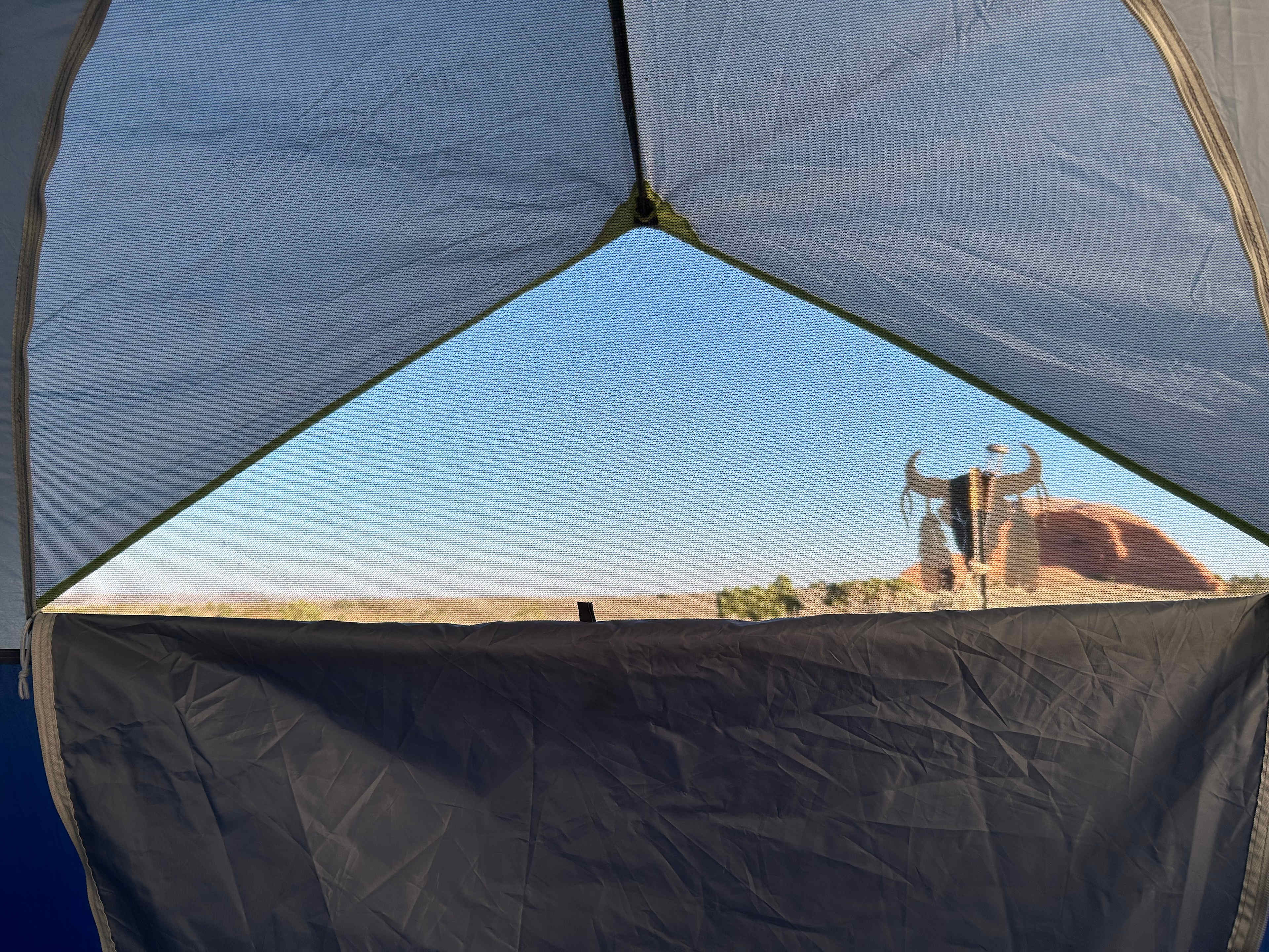 Where The Wild Things Camp