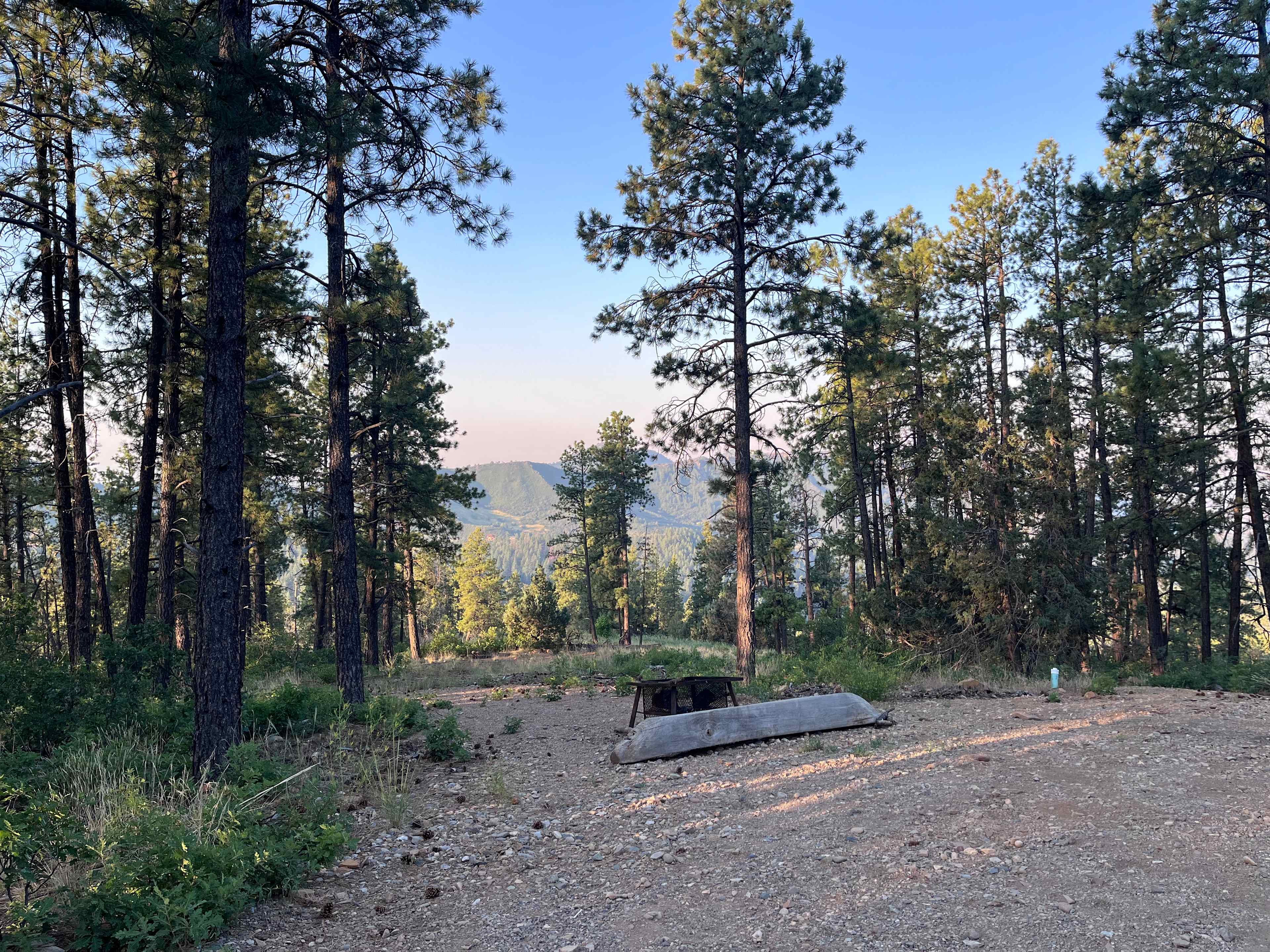 Bear springs