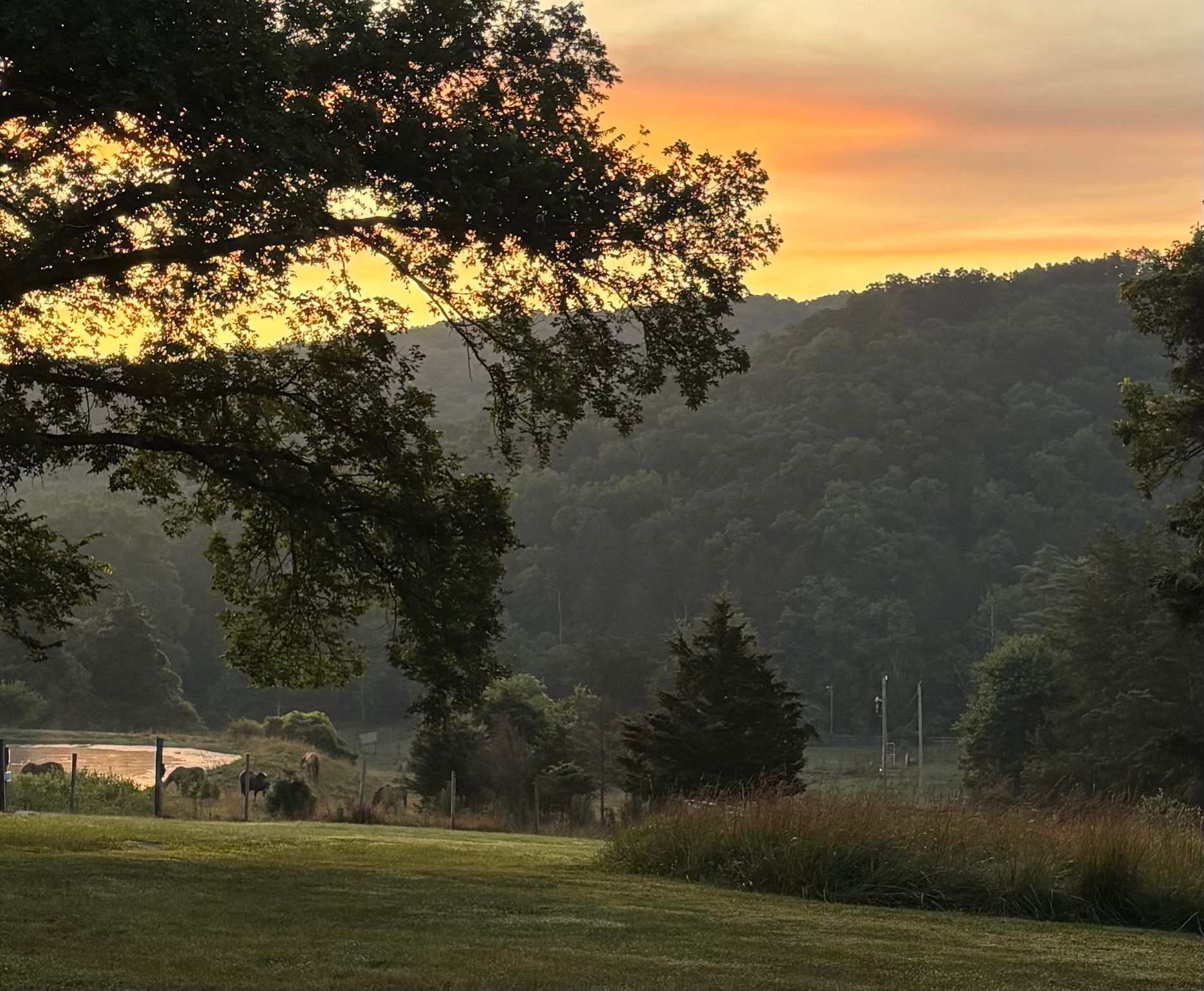 Sudden Valley Ranch