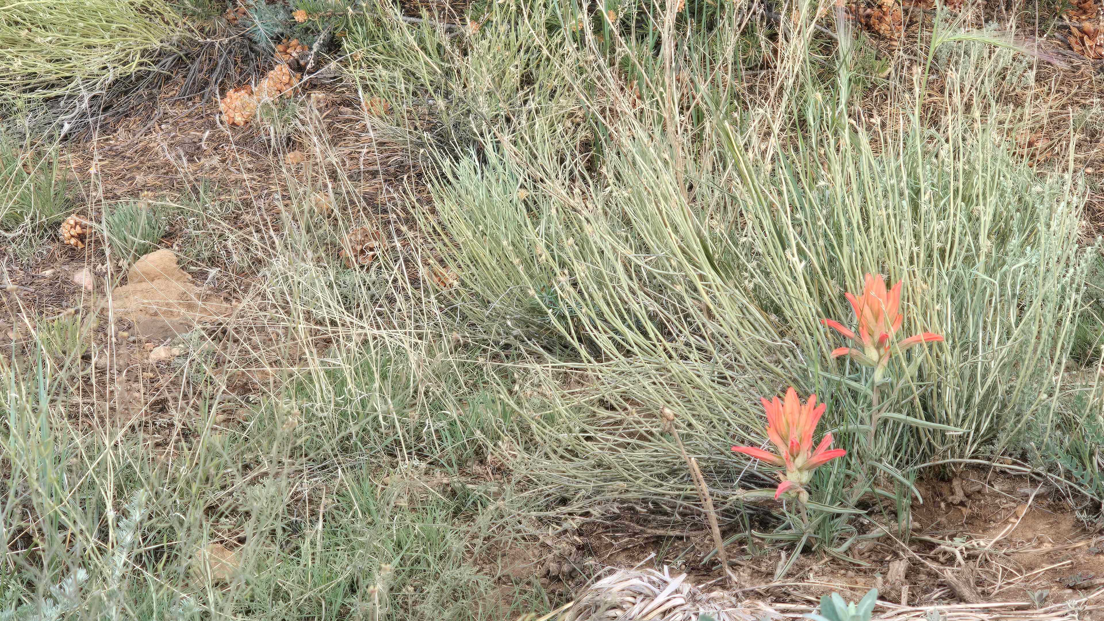 New Sky Ranch : Eco-building + Art