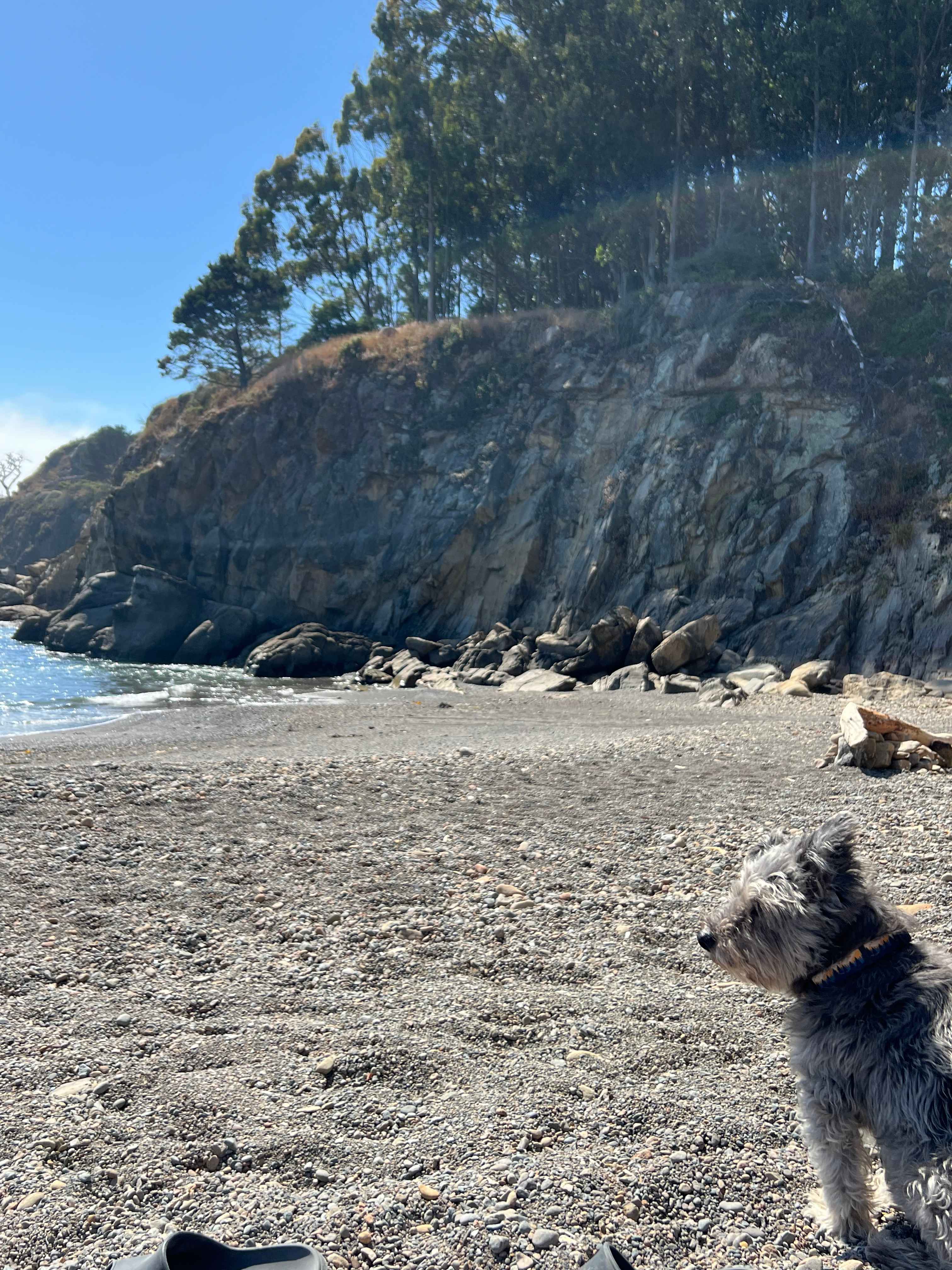 Timber Cove Campground
