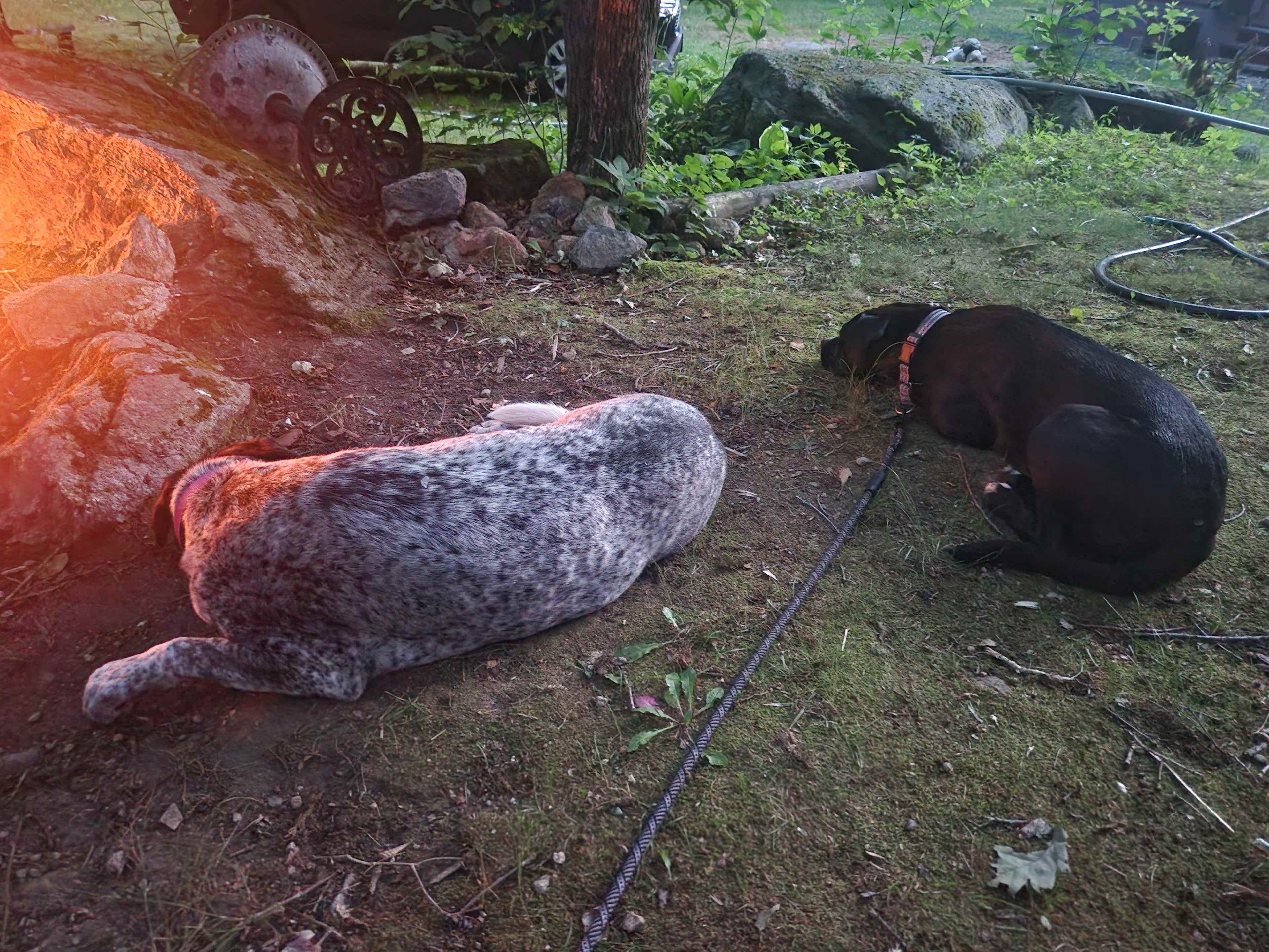 SimplePrivateNaturalwEpicFirepit