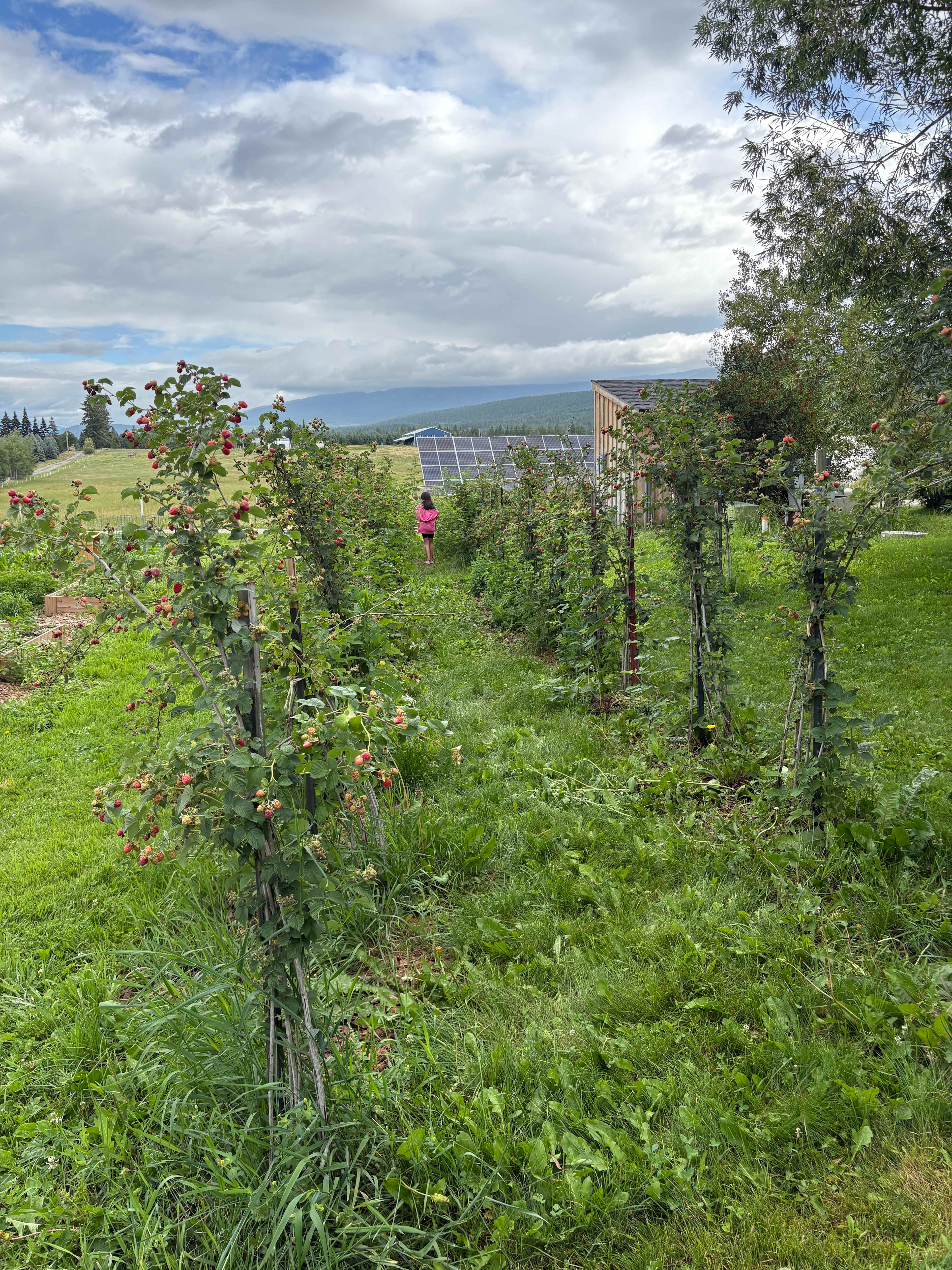 Hymas Family Farm Stay