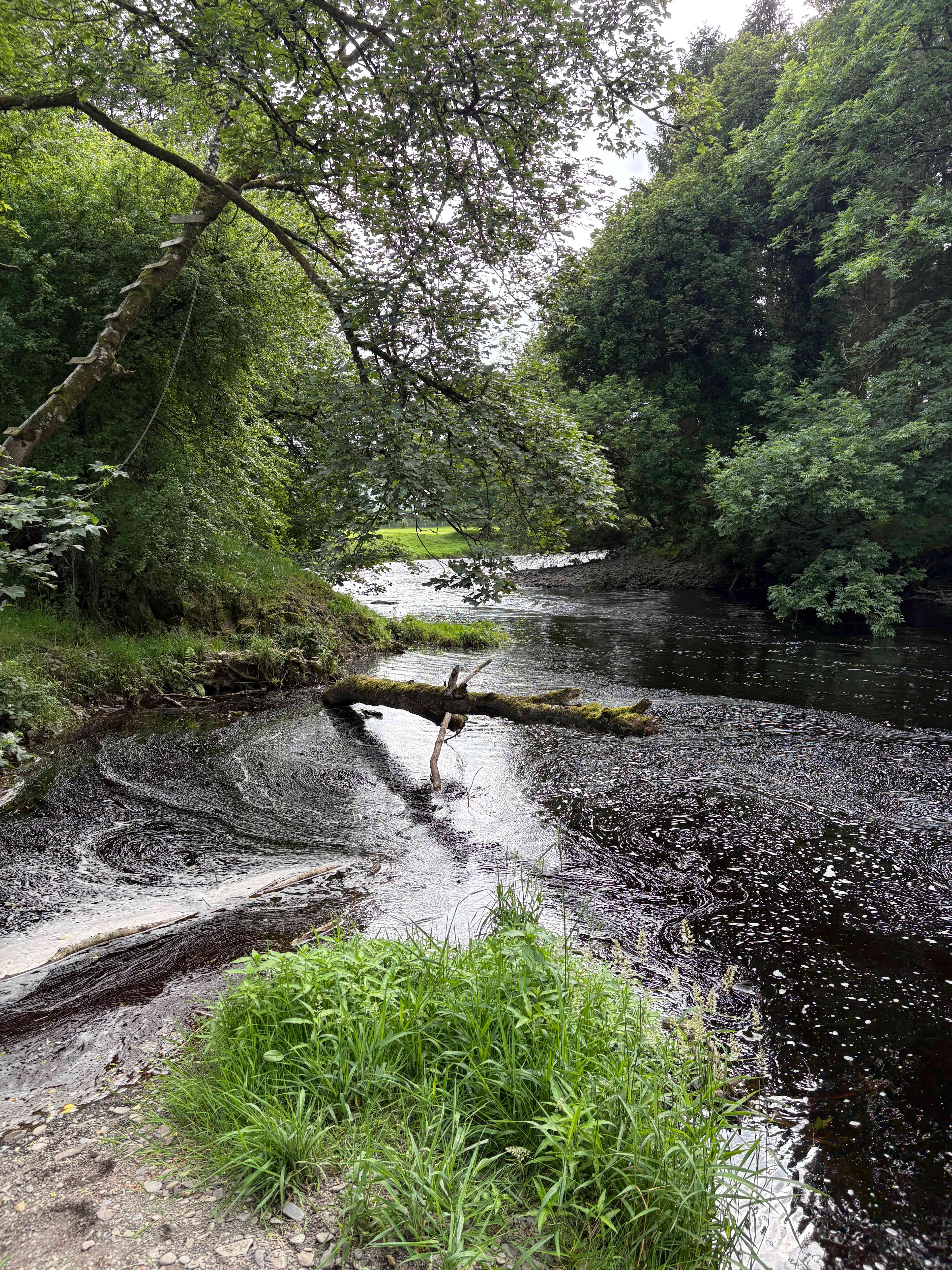 Gwersyllt Rhos y Gallt Campsite