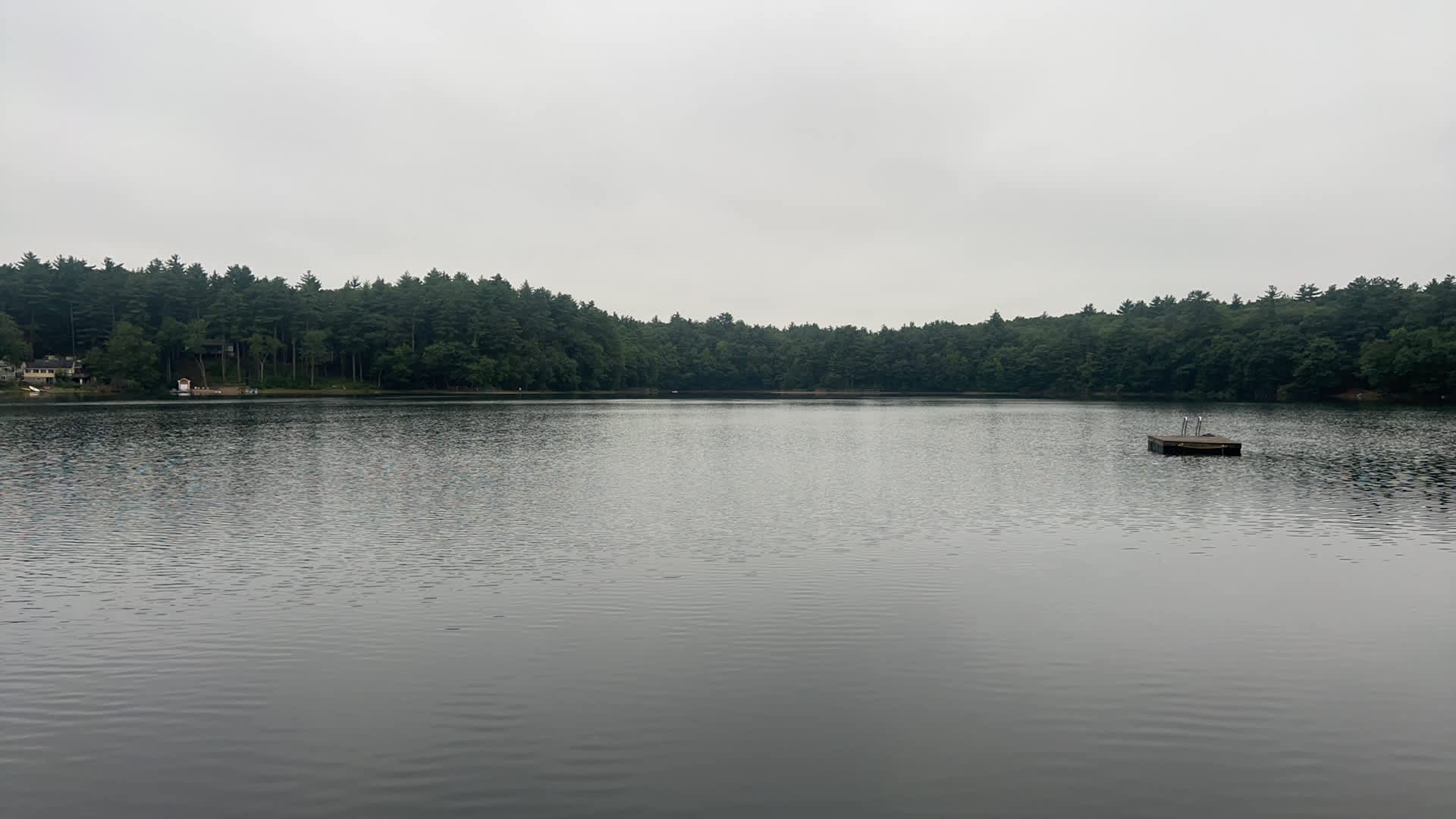 Ponderings at White Pond