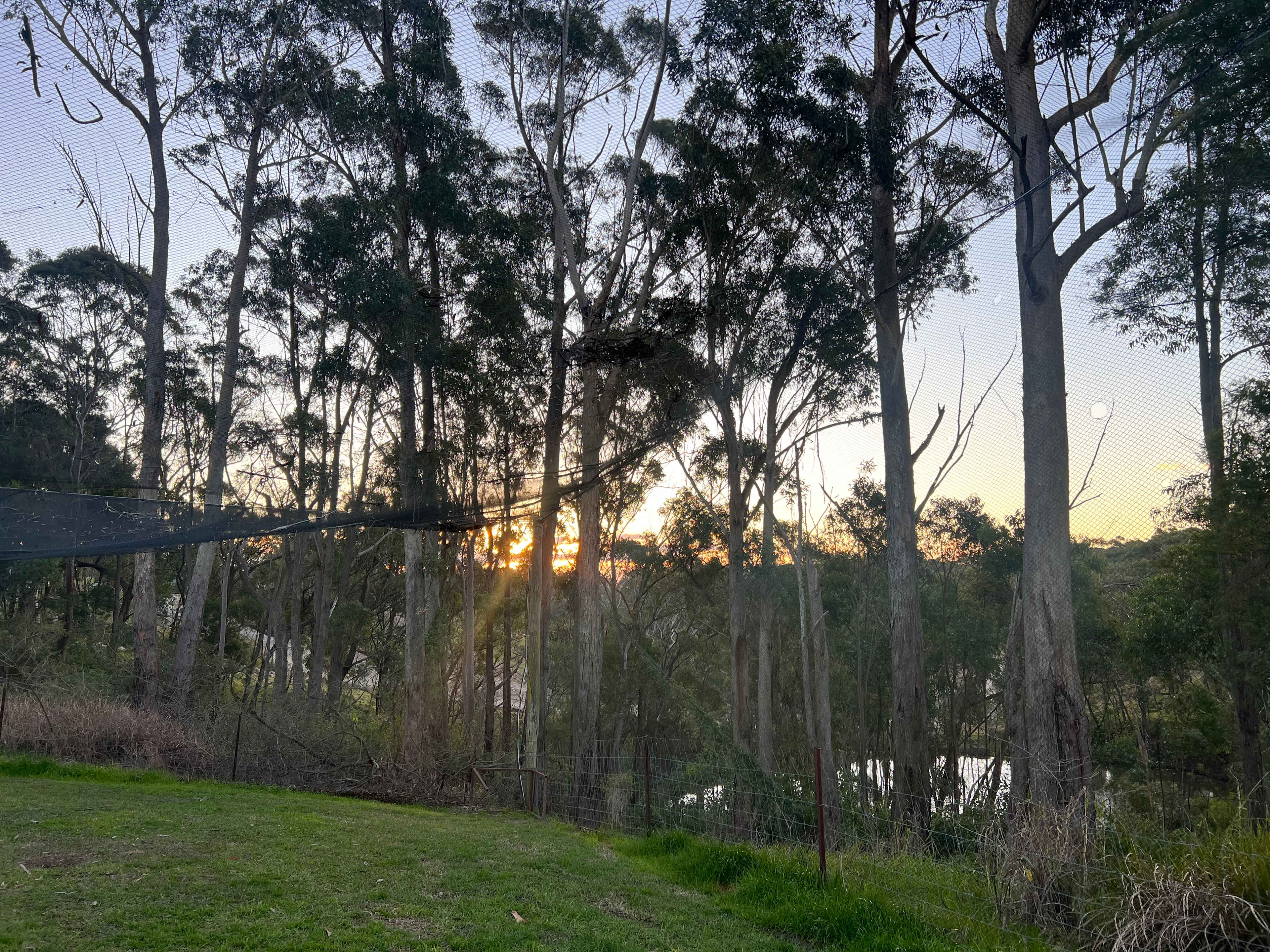 Canoelands Orchard Camping