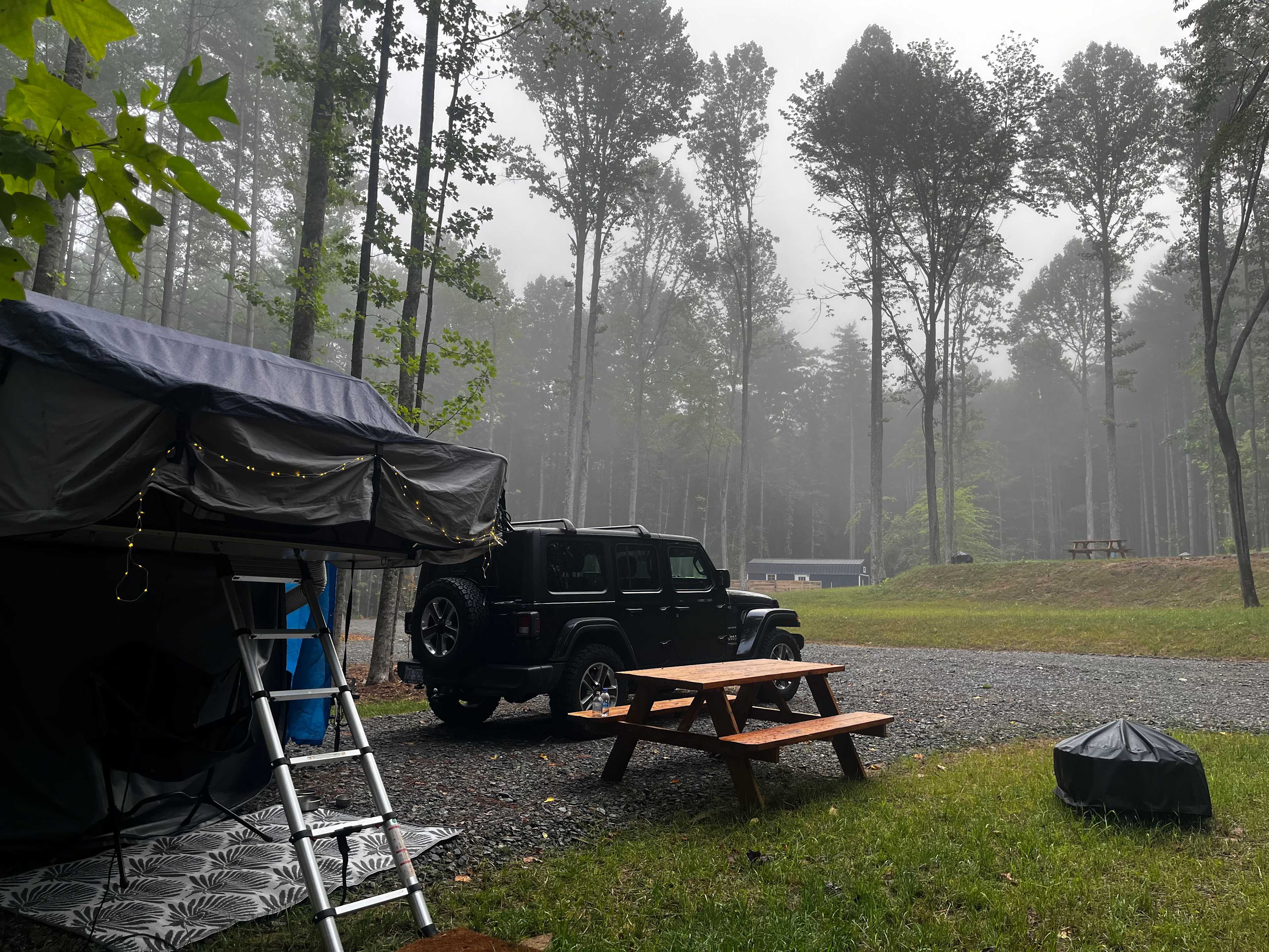 Claws cabins and RVs