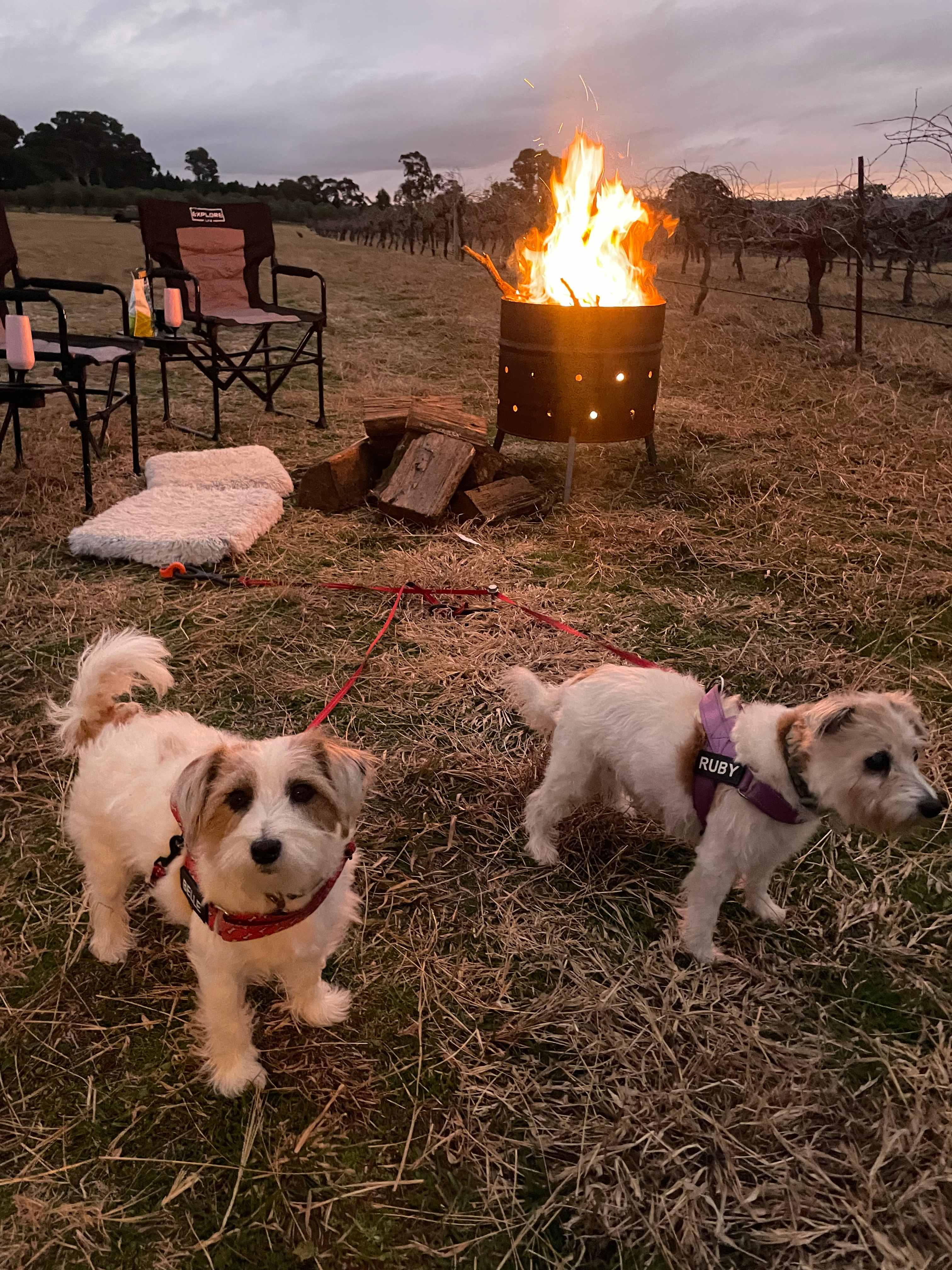 Happy campers 