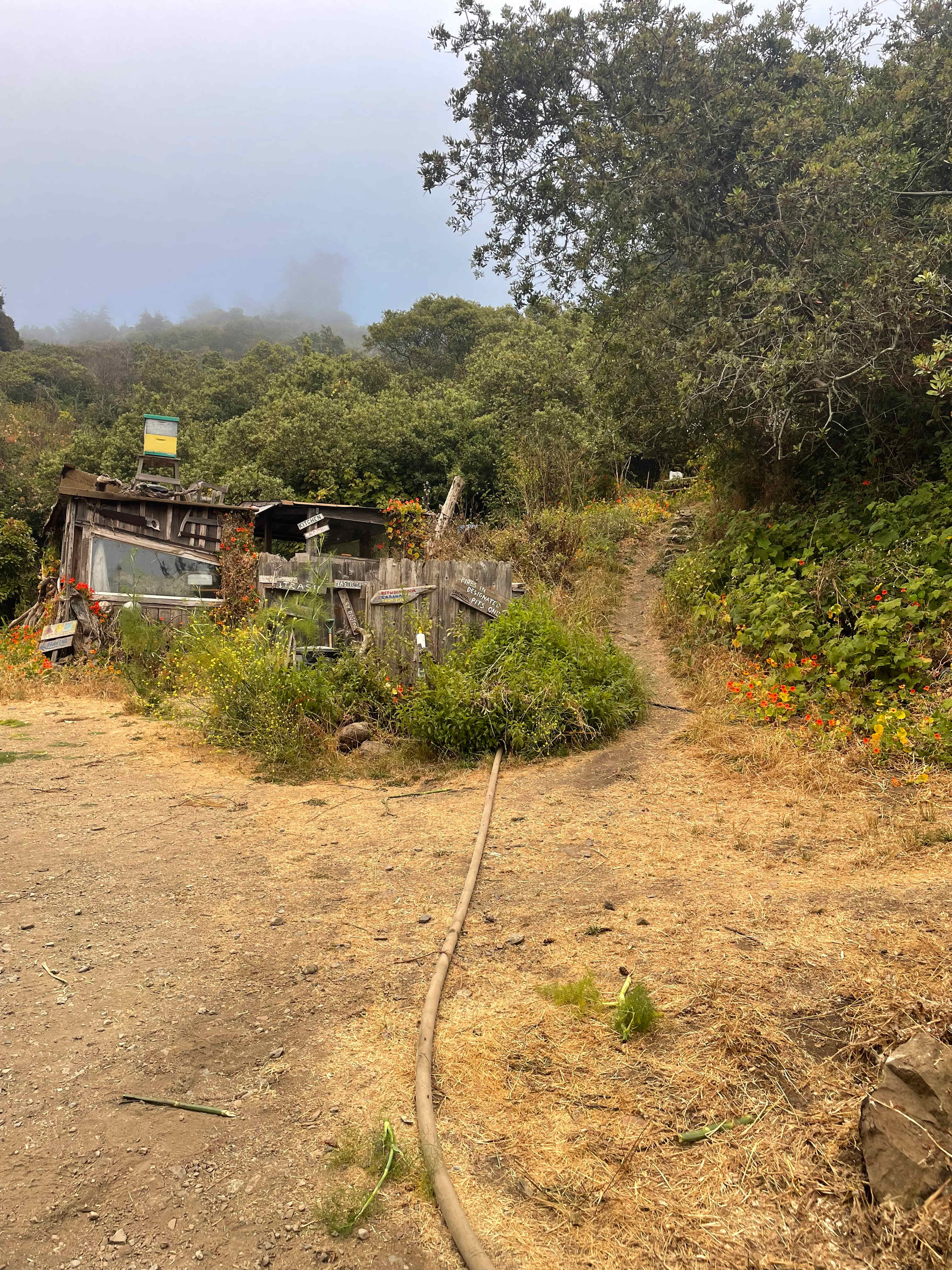 Our site was on the left walkway up the hill