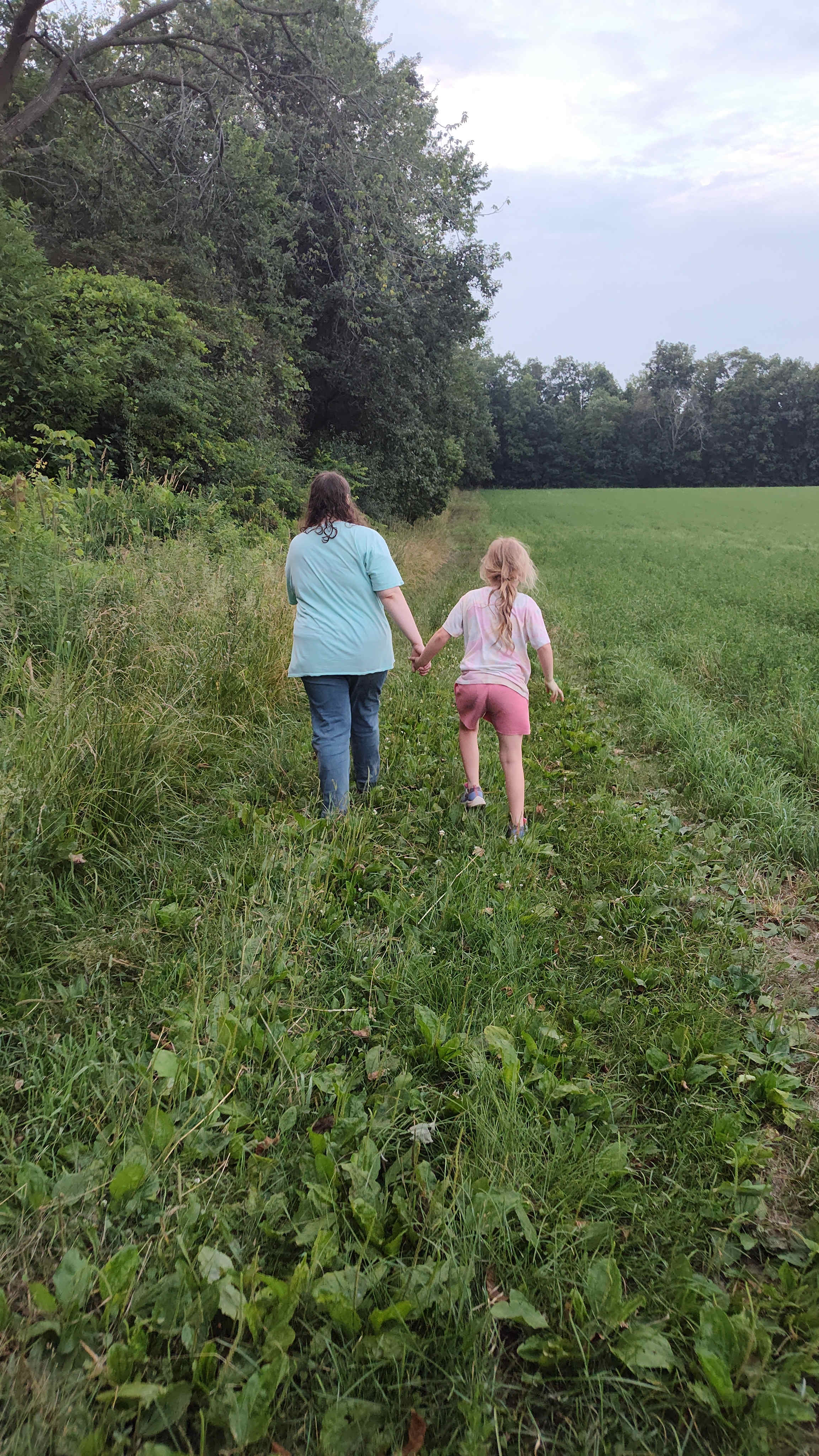 The walk back to the woods from the farm