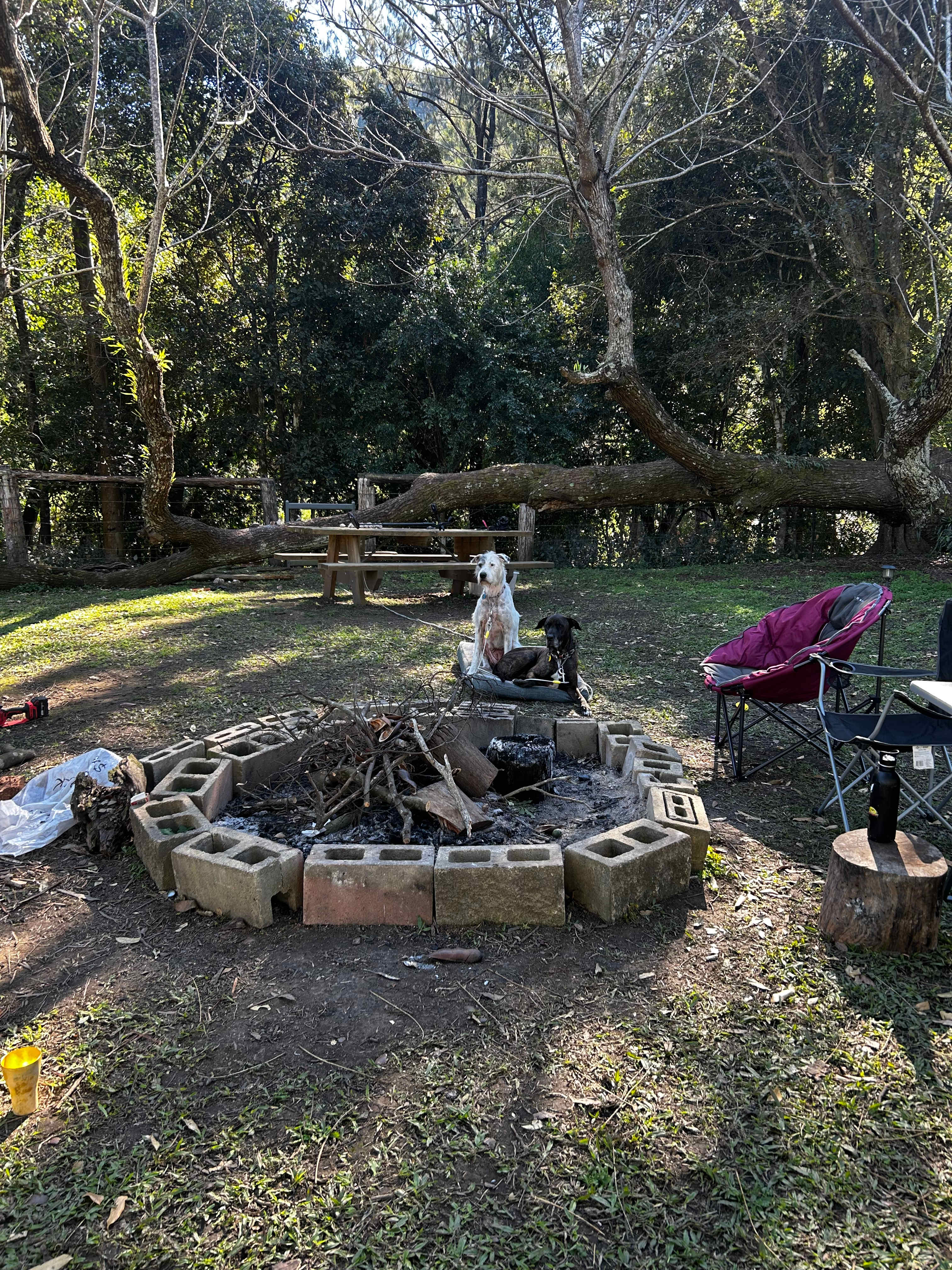 Windyridge Creekside Camp