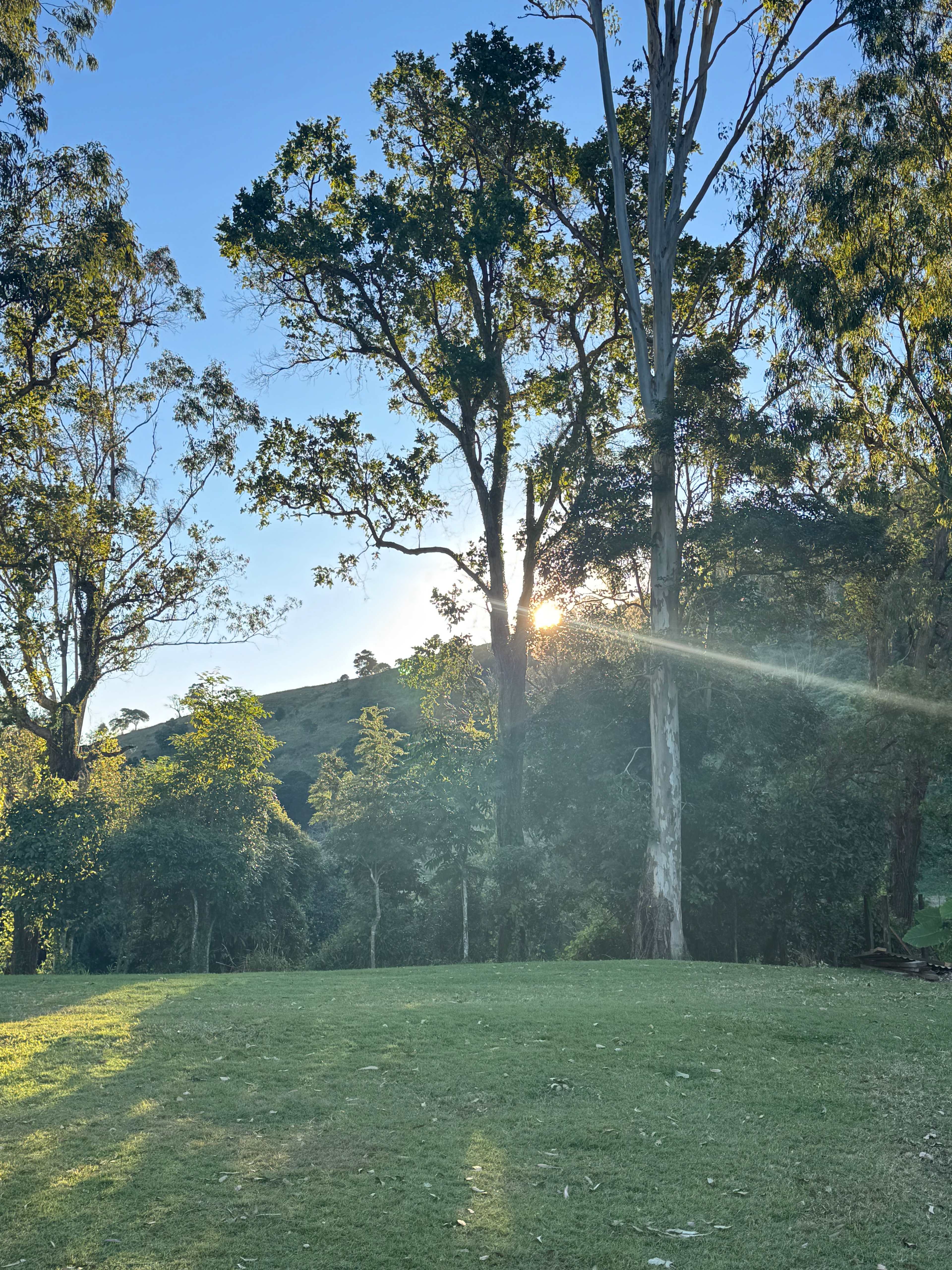 Yabba Creek Farm