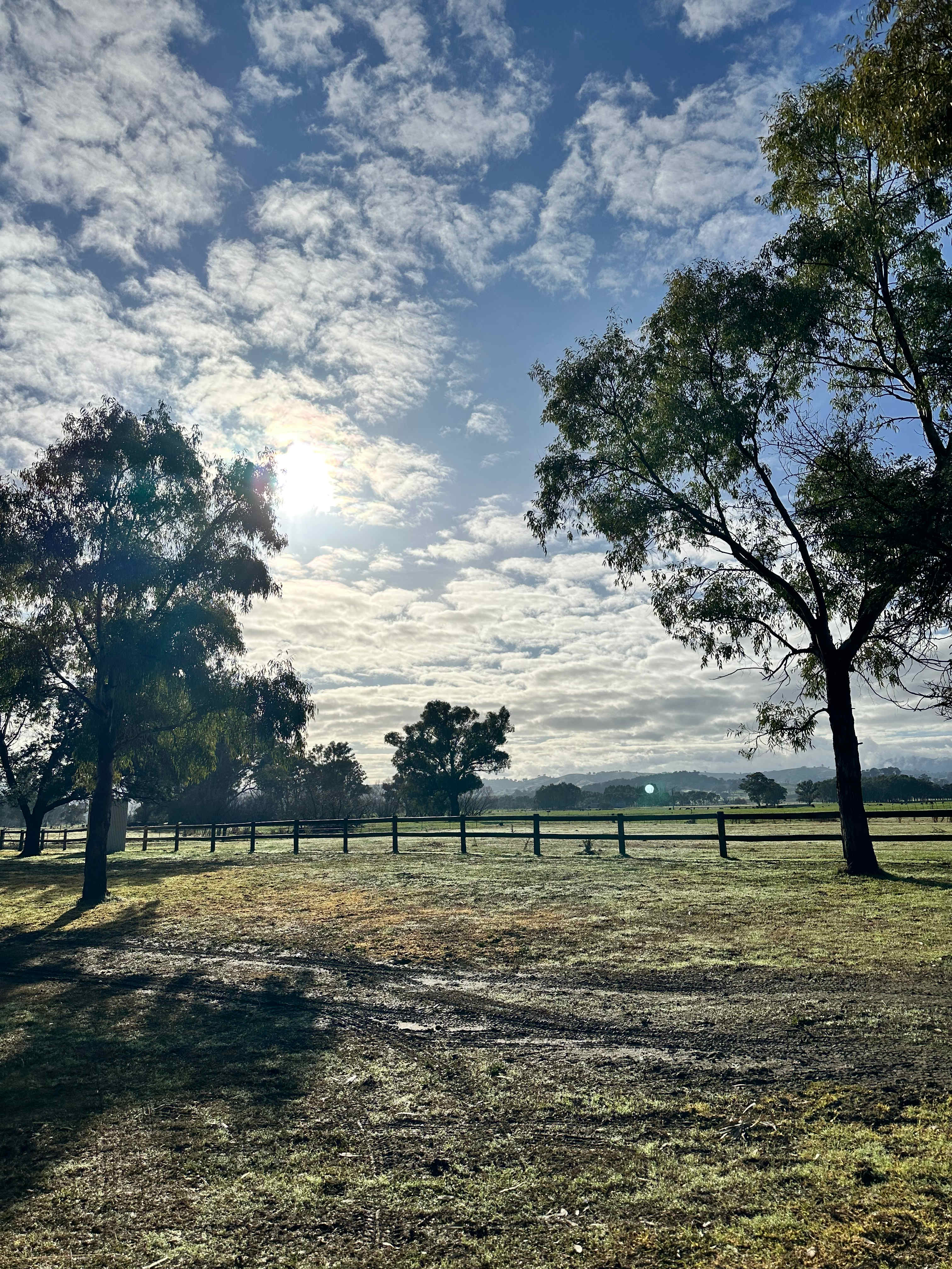Bahwidgee on Tumut River