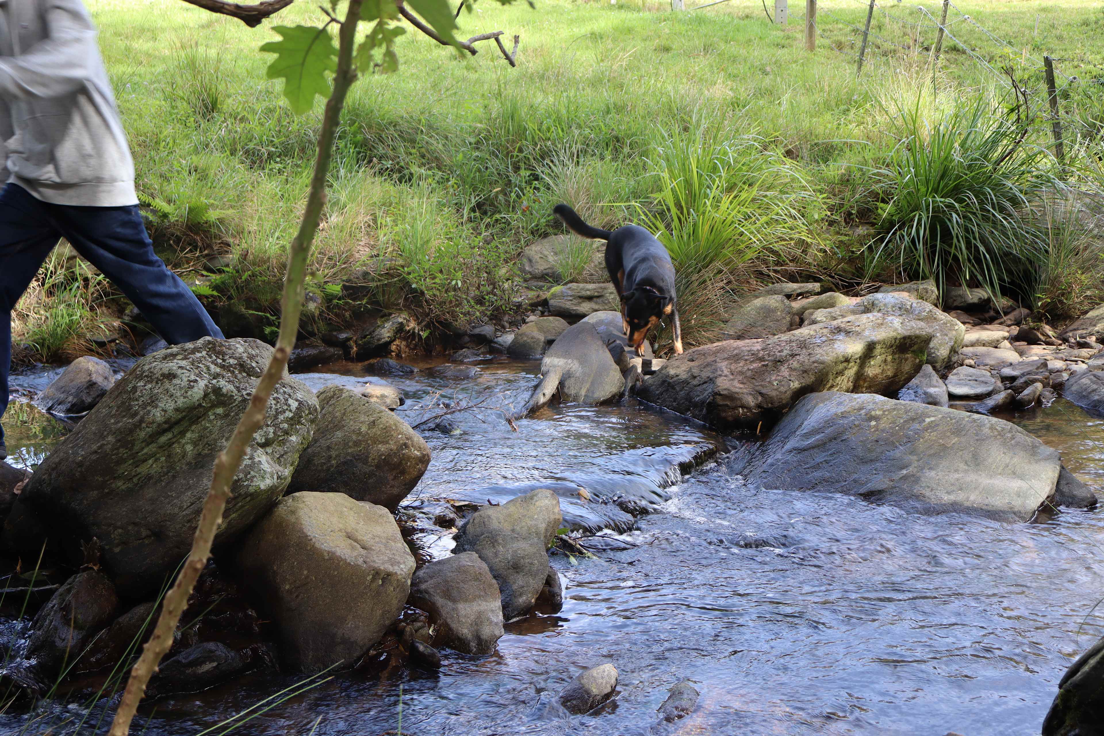 Coorie Vale