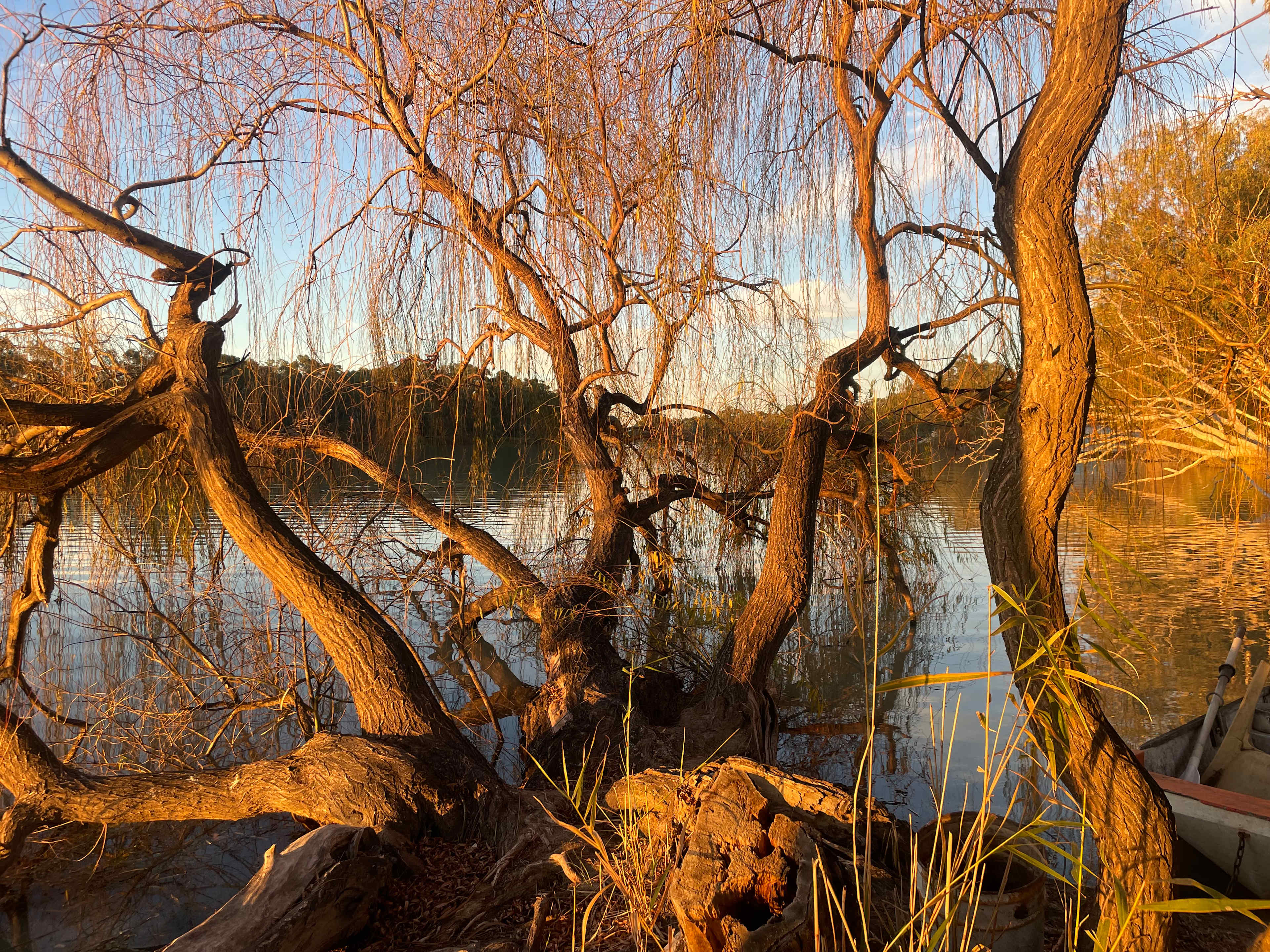 Secluded exclusive river campsite